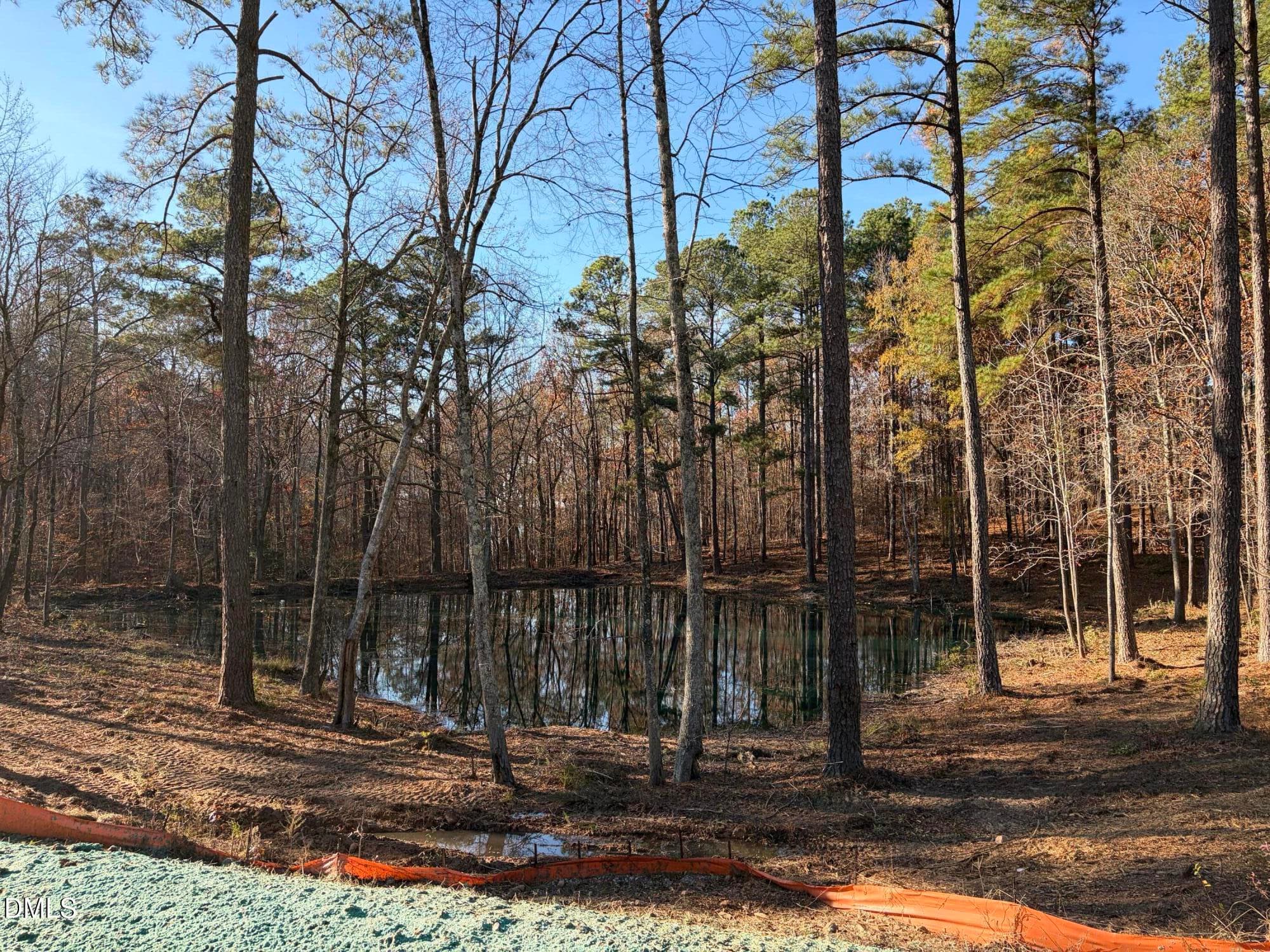 IMG_1114 - 6713 Bartley Point Drive, New Hill, NC 27562, New Hill