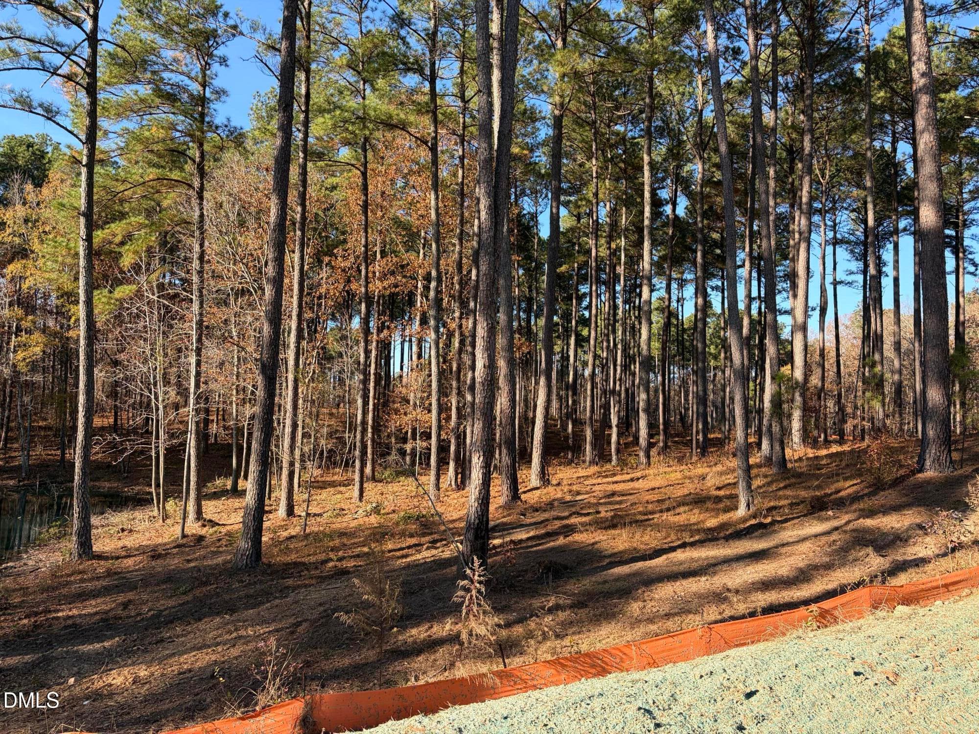IMG_1115 - 6713 Bartley Point Drive, New Hill, NC 27562, New Hill