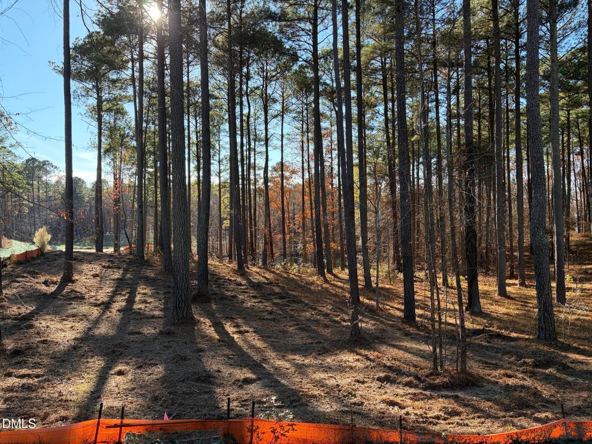 IMG_1117 - 6713 Bartley Point Drive, New Hill, NC 27562, New Hill