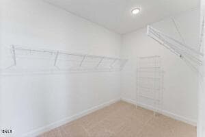 Julianne Primary Closet - 110 Byrum Street 307, Cary, NC 27511, Cary
