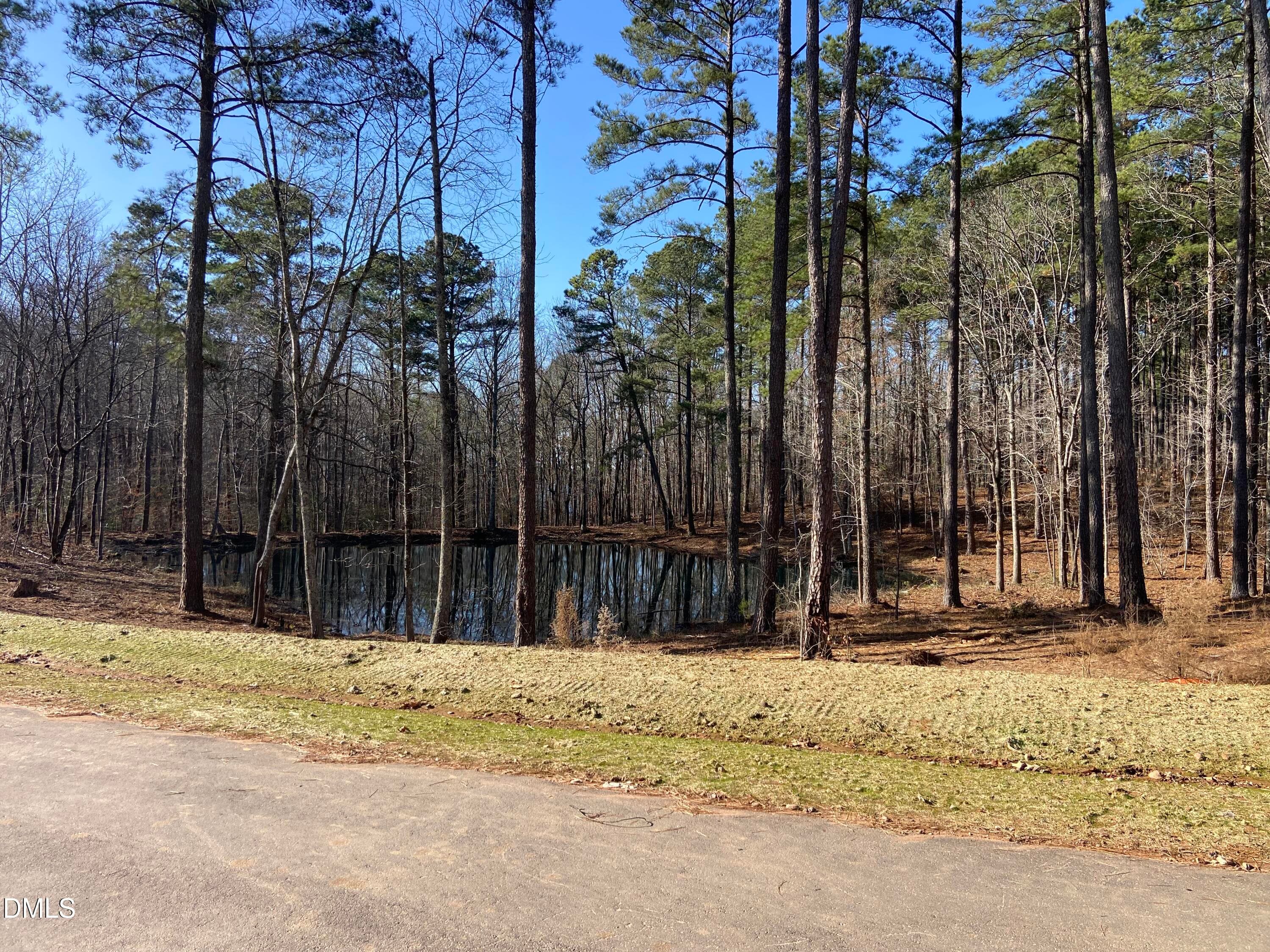 IMG_3875 - 6713 Bartley Point Drive, New Hill, NC 27562, New Hill