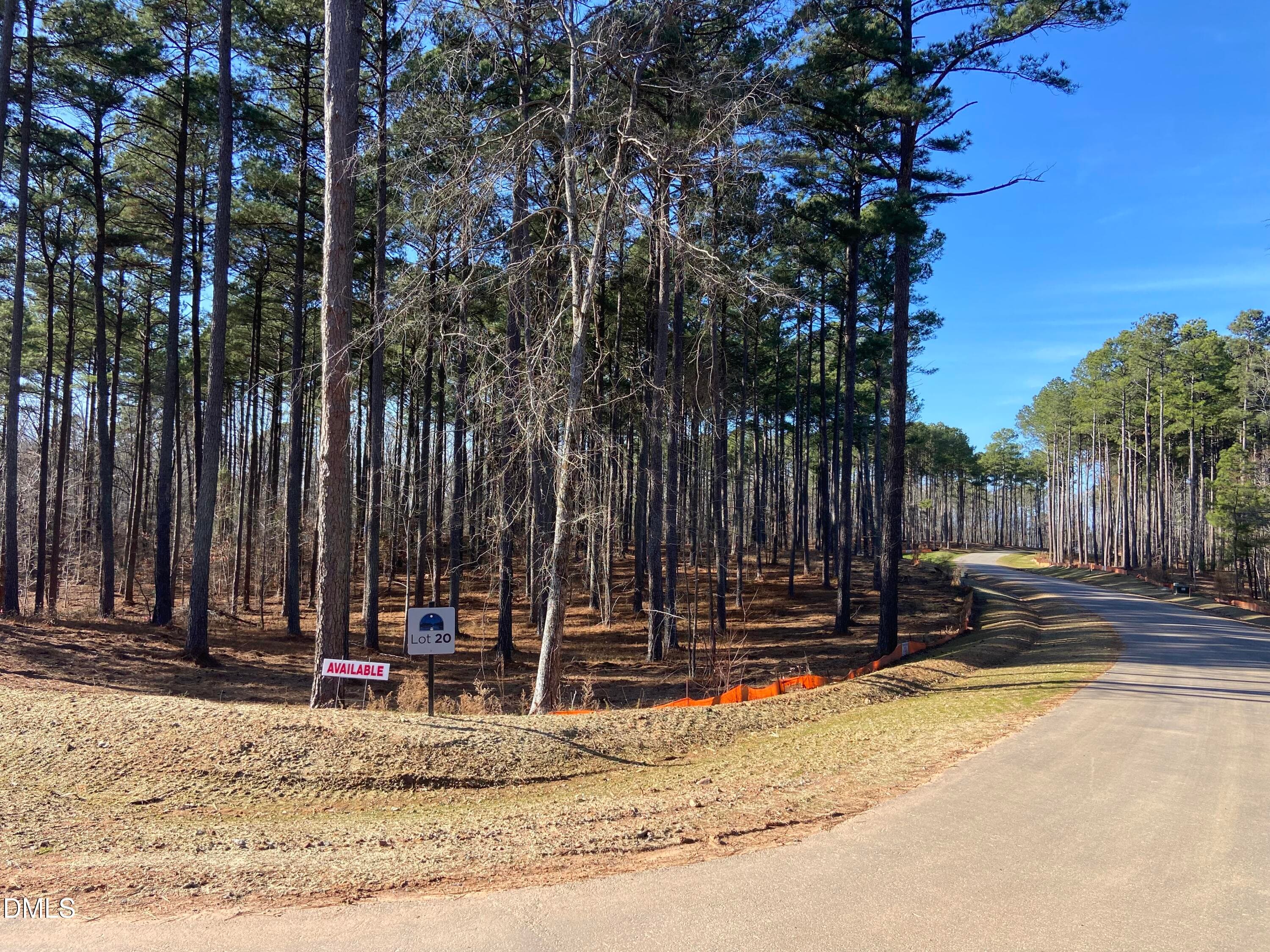 IMG_3874 - 6713 Bartley Point Drive, New Hill, NC 27562, New Hill