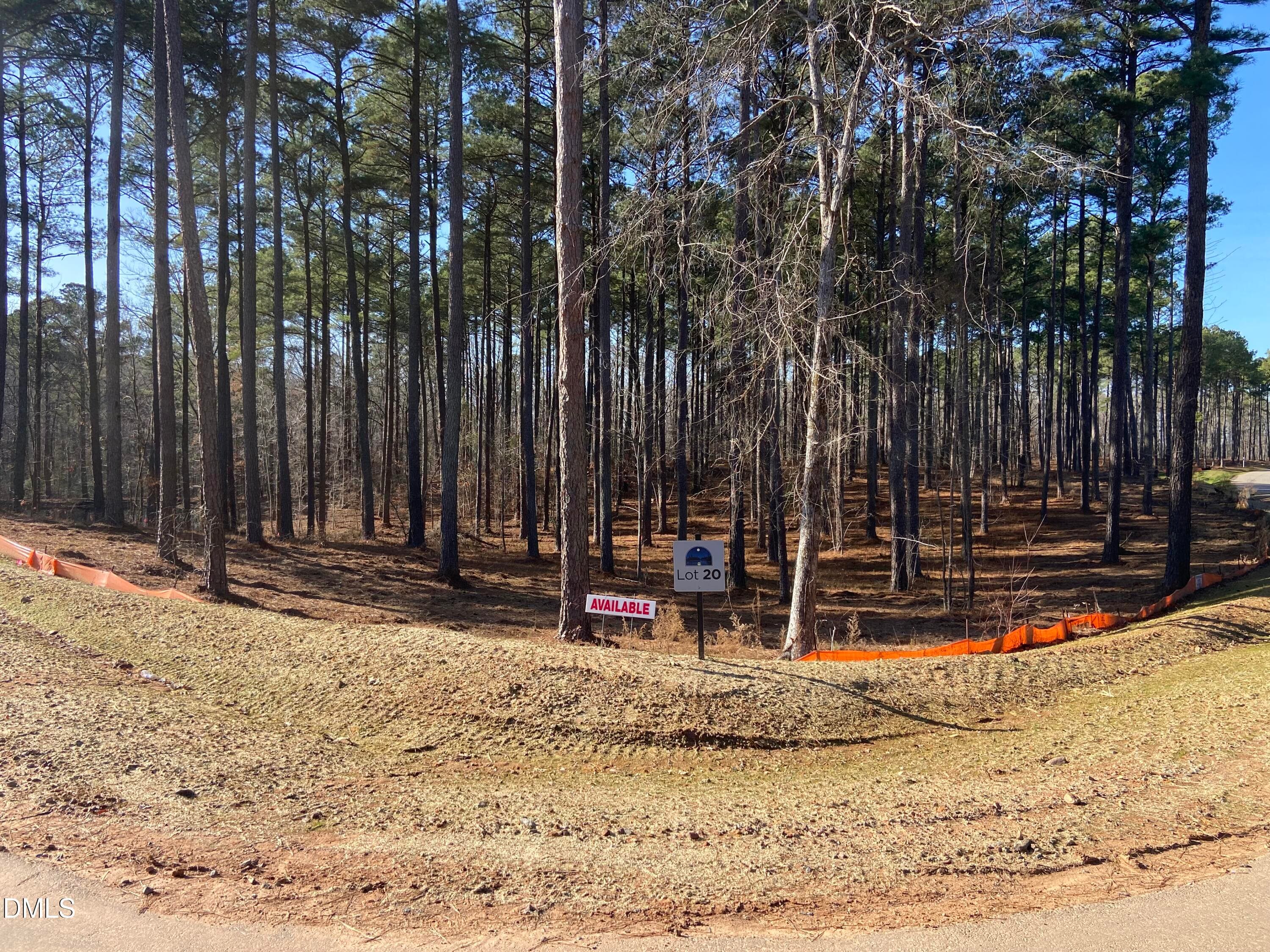 IMG_3871 - 6713 Bartley Point Drive, New Hill, NC 27562, New Hill