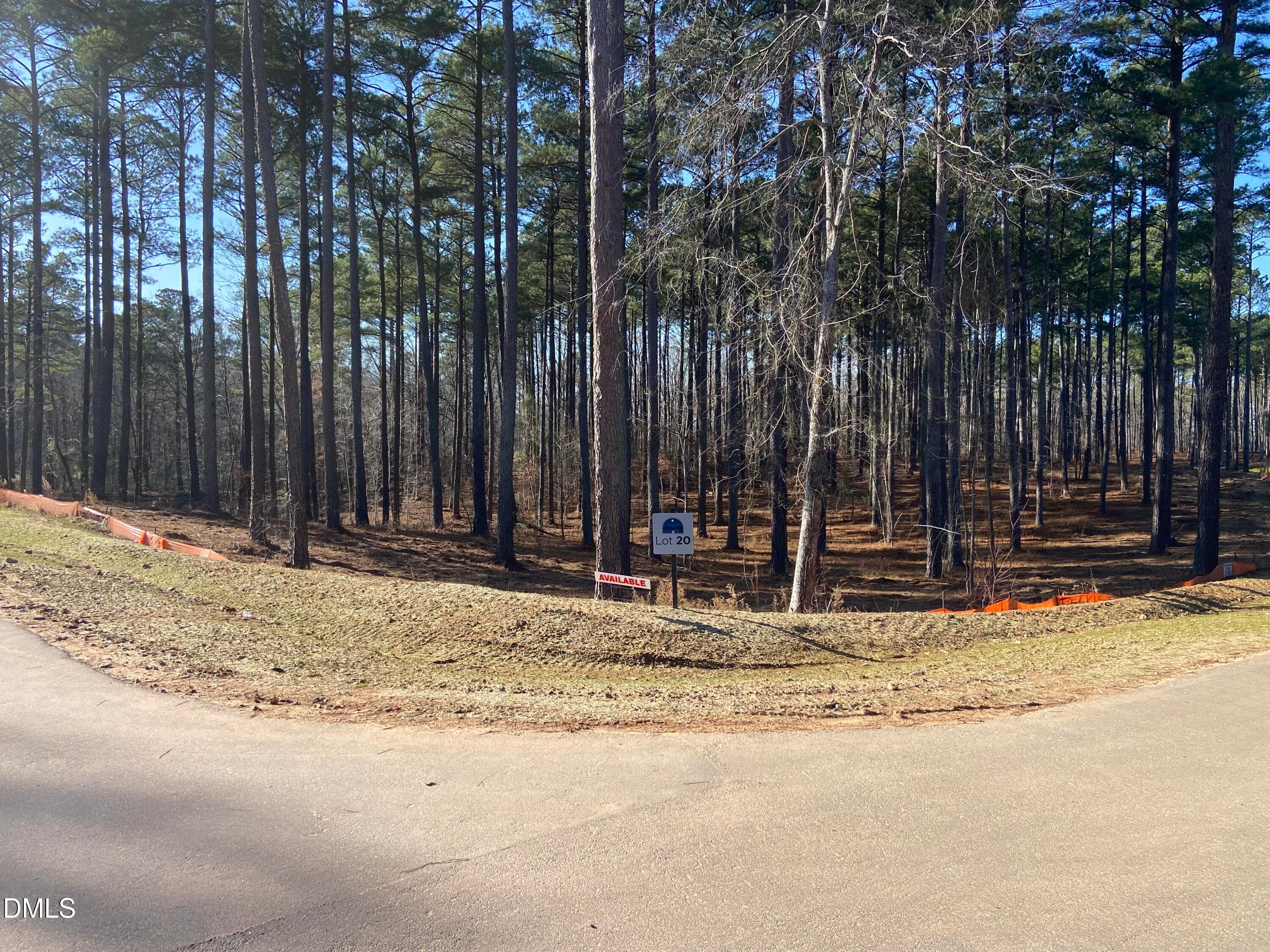 IMG_3870 - 6713 Bartley Point Drive, New Hill, NC 27562, New Hill