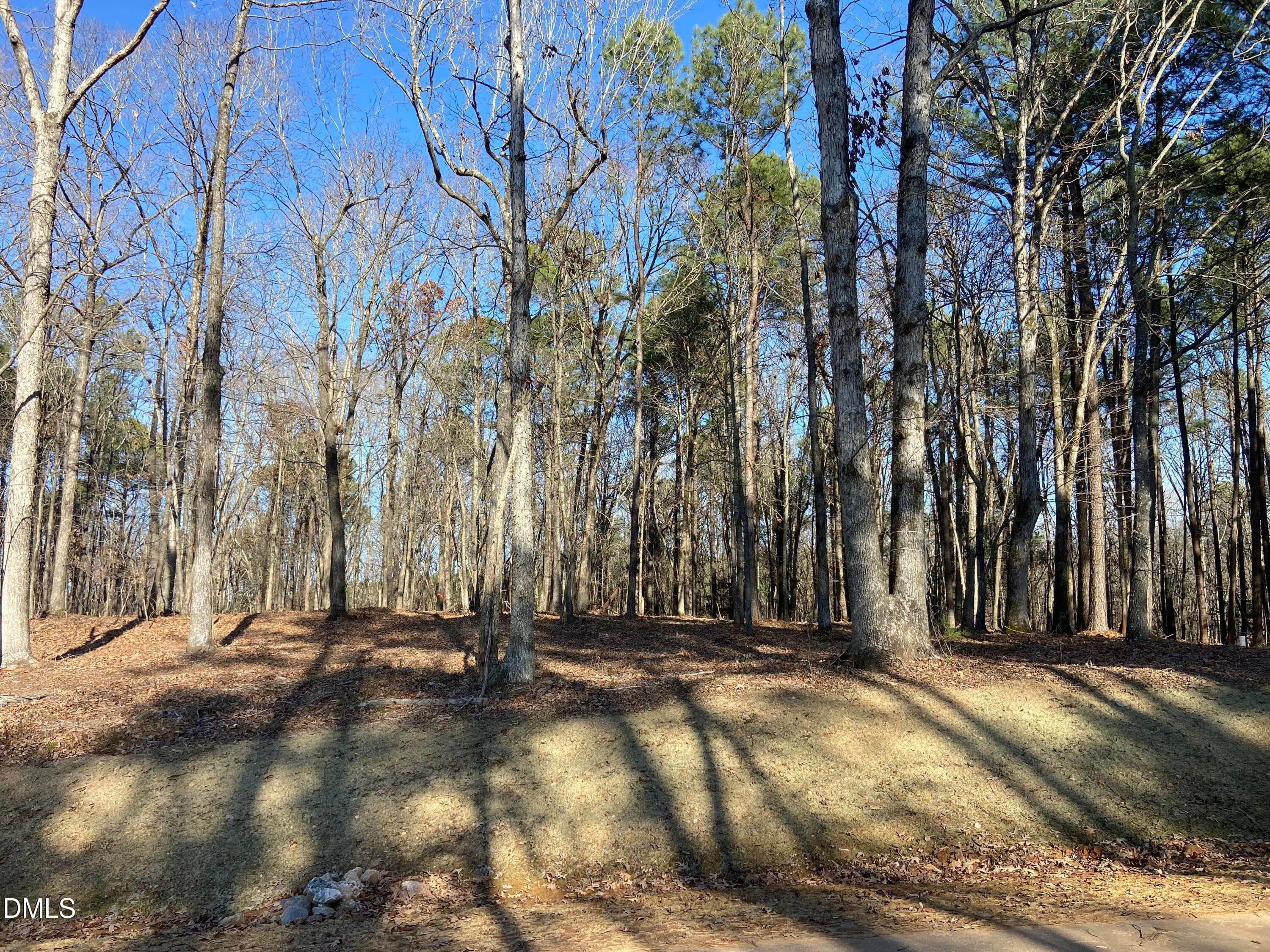 IMG_3869 - 6728 Bartley Point Drive, New Hill, NC 27562