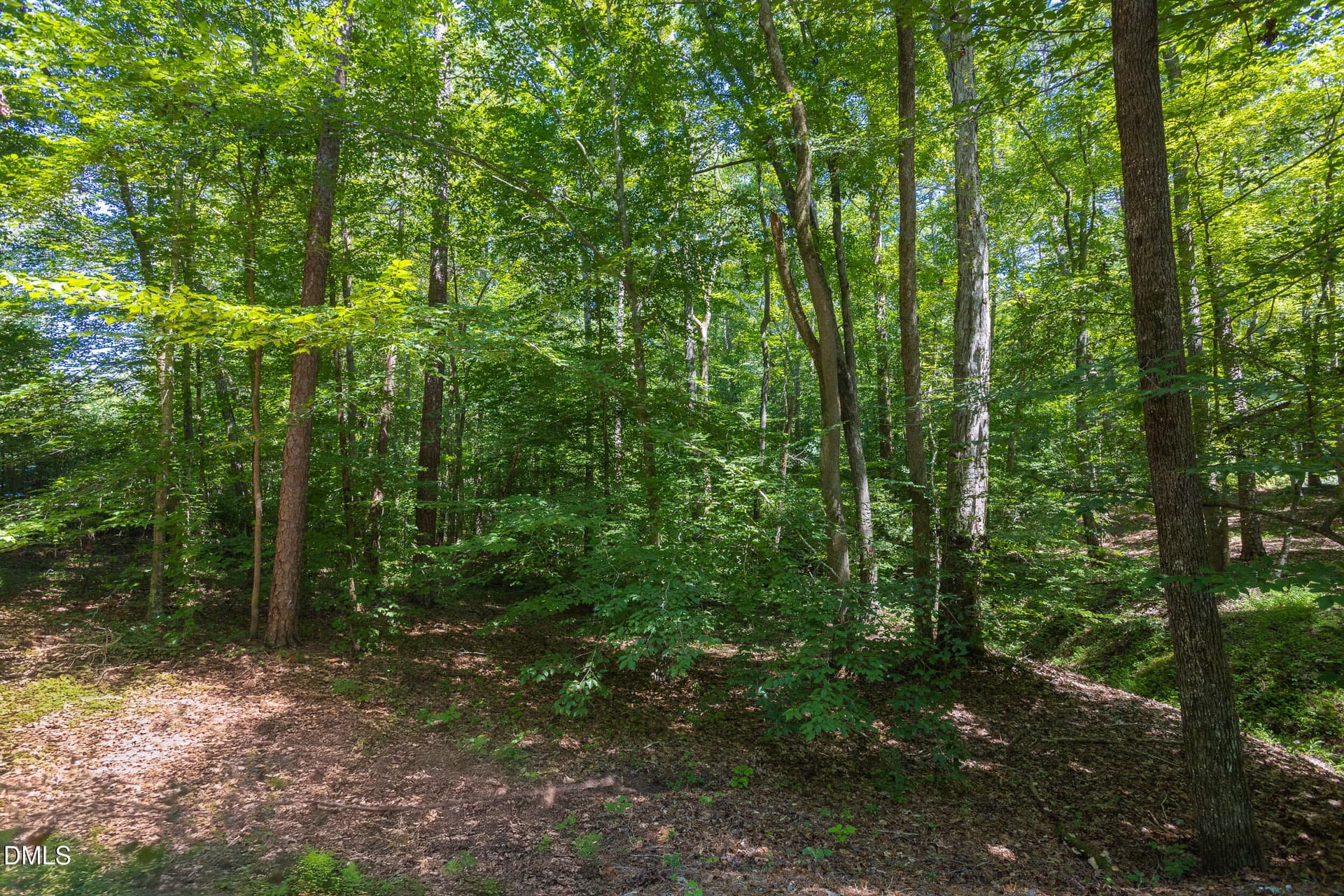 4519_Chicopee_MLS-8 - 4515 Chicopee Trail, Durham, NC 27707
