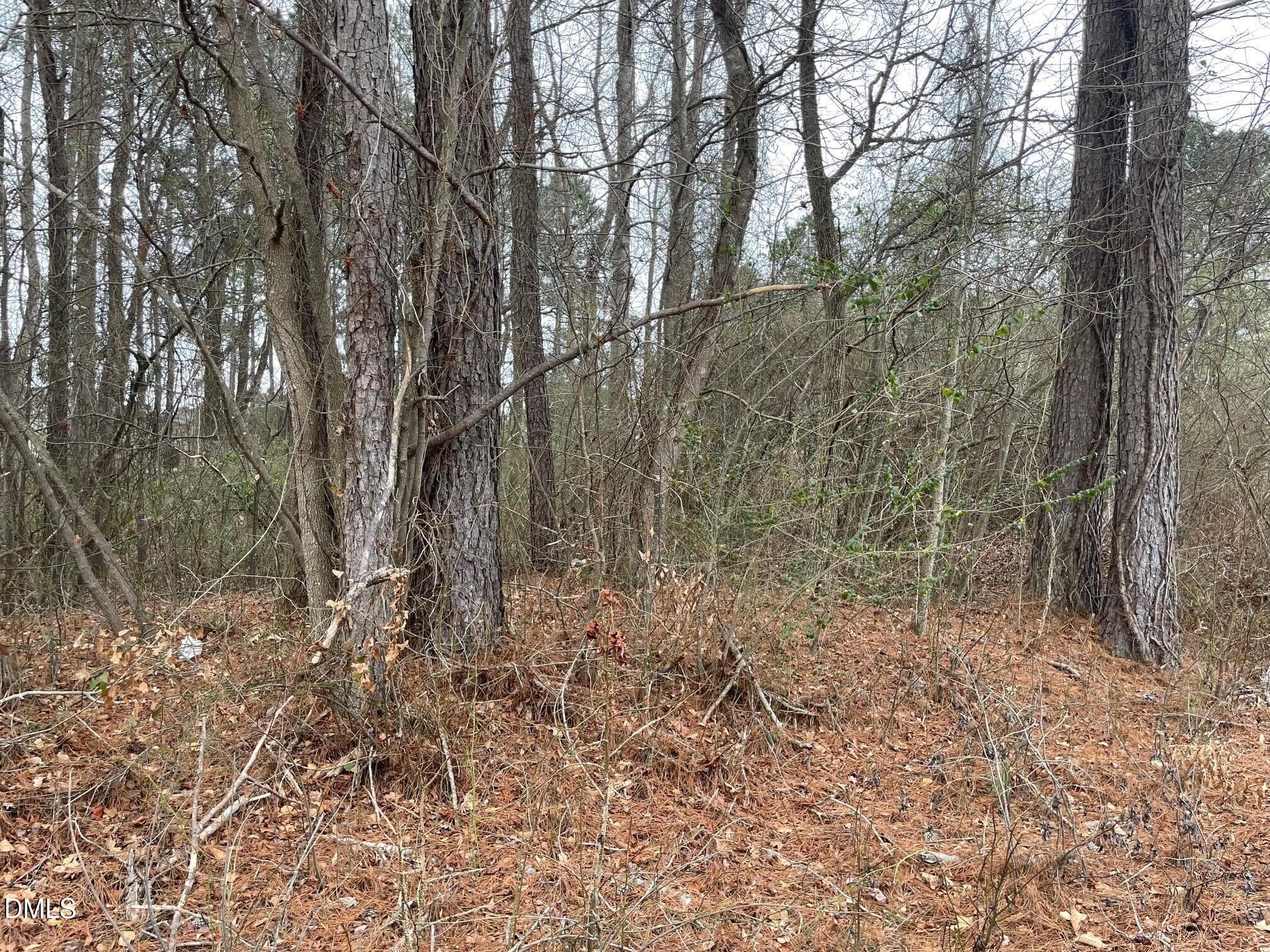 IMG_2598 - 70 Wilson, Bunnlevel, NC 28323