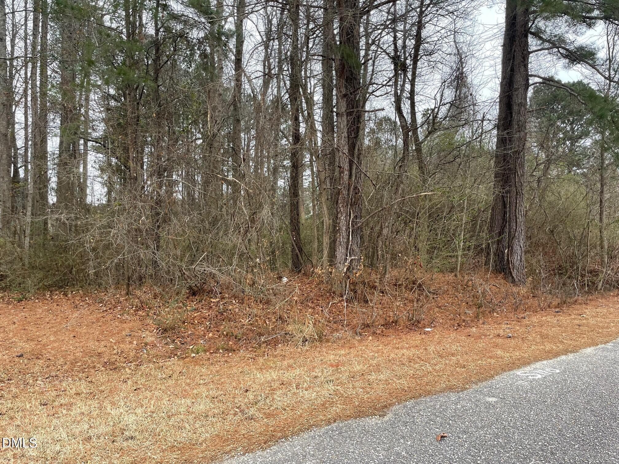 IMG_2600 - 70 Wilson, Bunnlevel, NC 28323