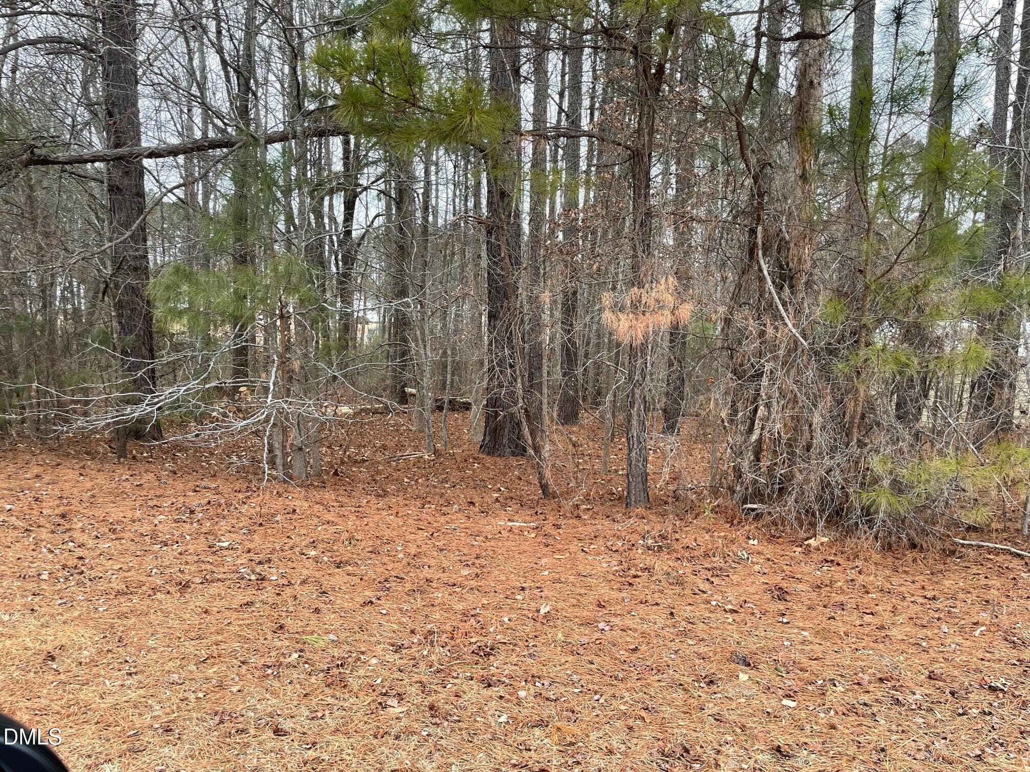 IMG_2604 - 70 Wilson, Bunnlevel, NC 28323