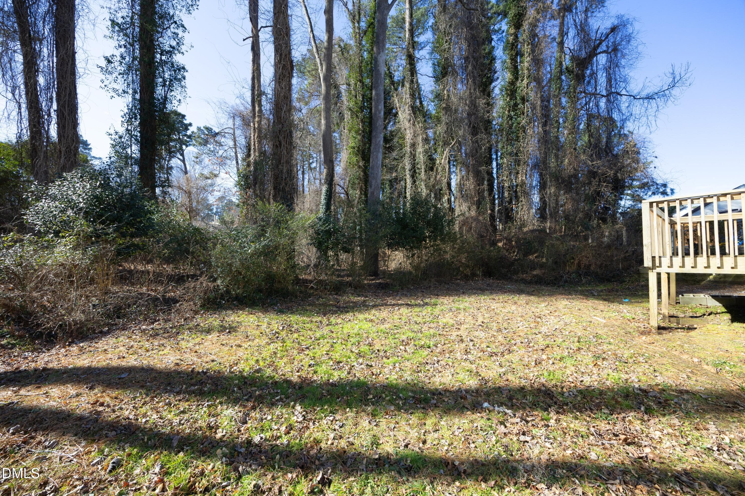 IMG_2977 - 3001 Corinth Lane, Durham, NC 27704, Durham