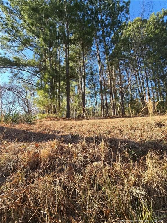 Photo 5 - 4026 Nursery Road, Spring Lake, NC 28390