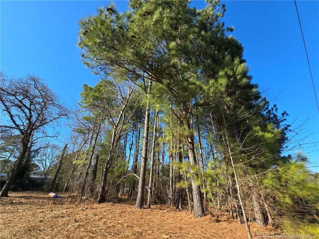 Photo 10 - 4026 Nursery Road, Spring Lake, NC 28390