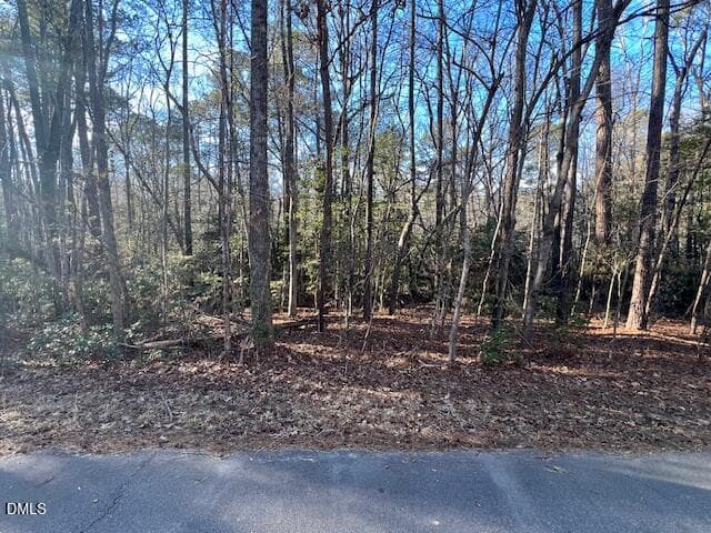 IMG_6895 - 104 Santee Drive, Louisburg, NC 27549, Louisburg