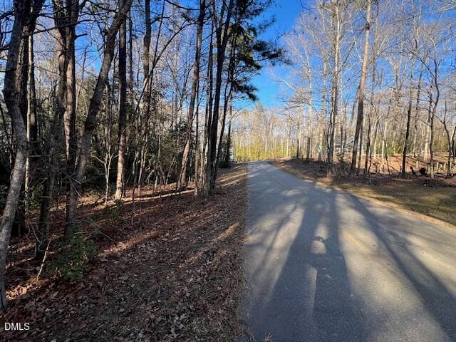 IMG_6896 - 104 Santee Drive, Louisburg, NC 27549, Louisburg