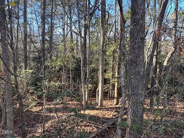 IMG_6899 - 104 Santee Drive, Louisburg, NC 27549, Louisburg