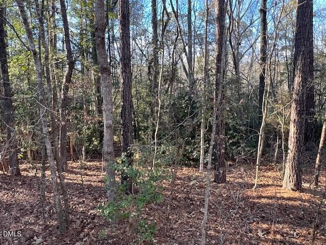 IMG_6900 - 104 Santee Drive, Louisburg, NC 27549, Louisburg