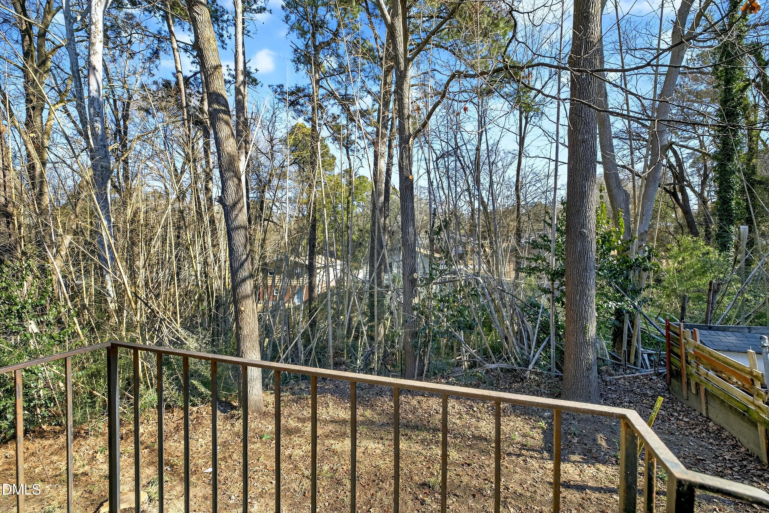 Backyard - 302 Normandy Street, Durham, NC 27707, Durham