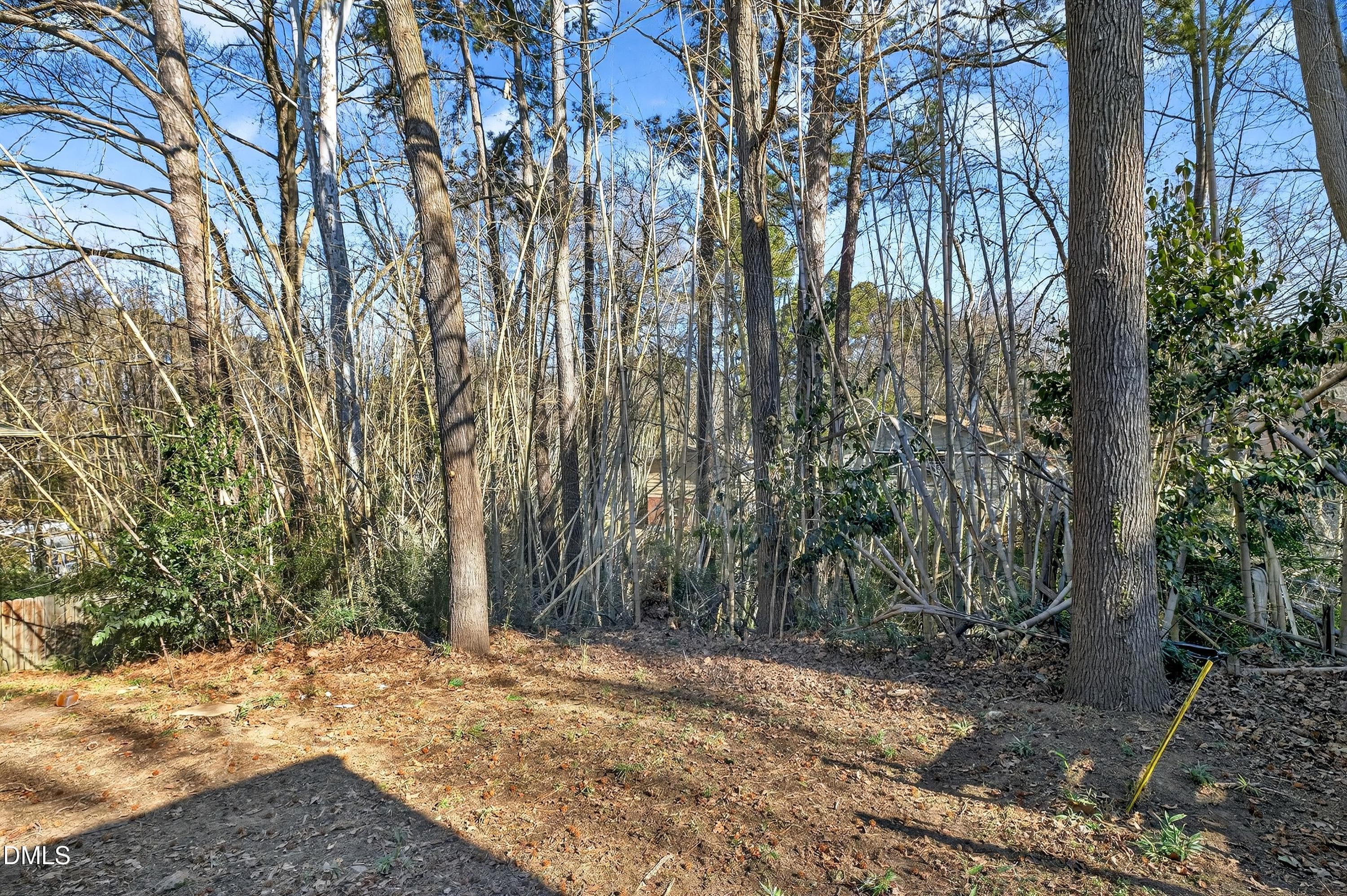 Backyard - 302 Normandy Street, Durham, NC 27707, Durham