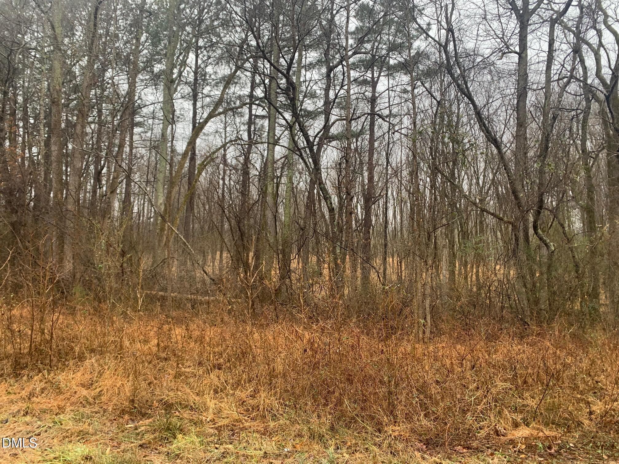 r chap road view into lot 1 - 0 Rives Chapel Church Road, Siler City, NC 27344