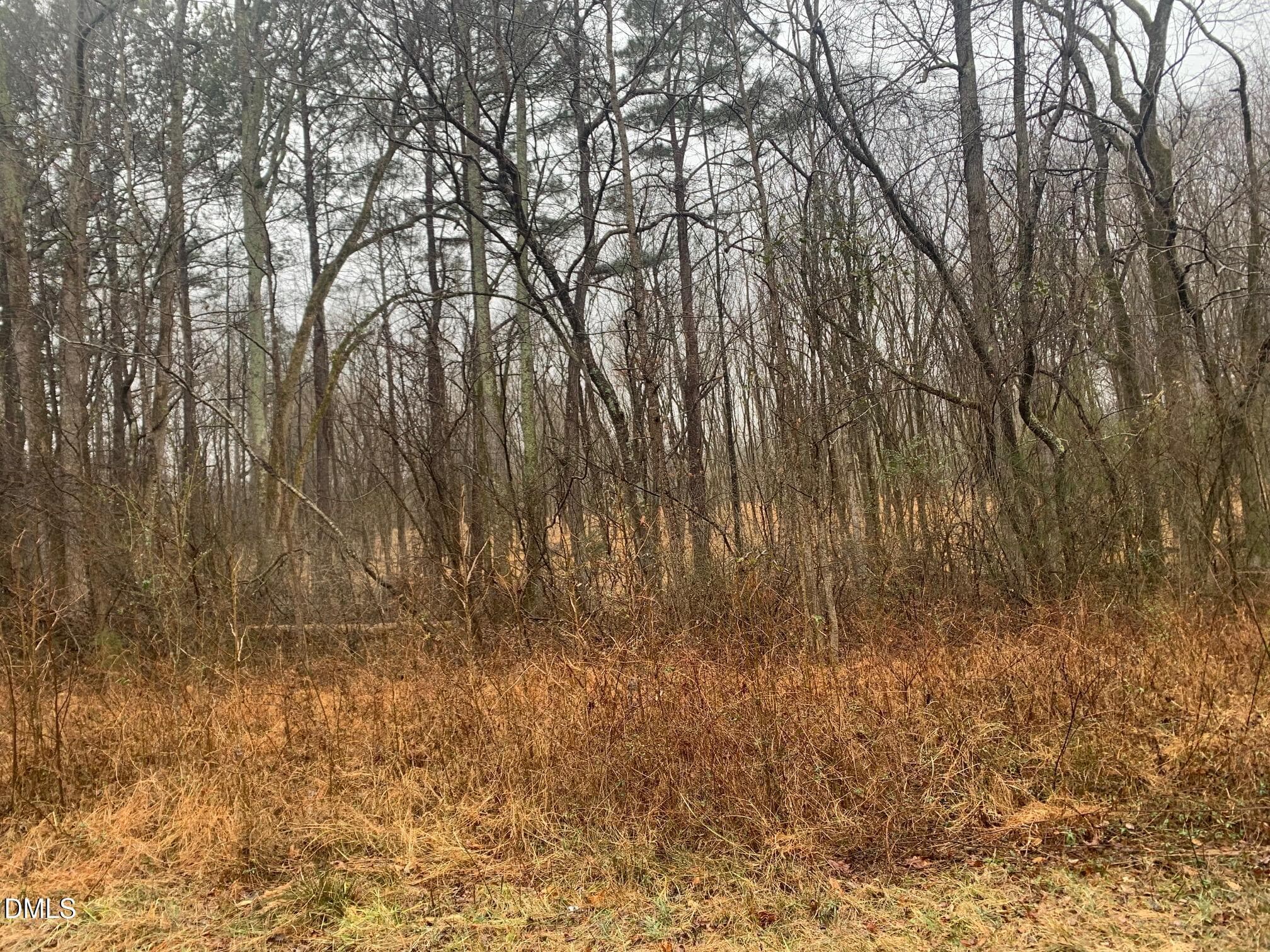 r chap ext lot1 - 0 Rives Chapel Church Road, Siler City, NC 27344