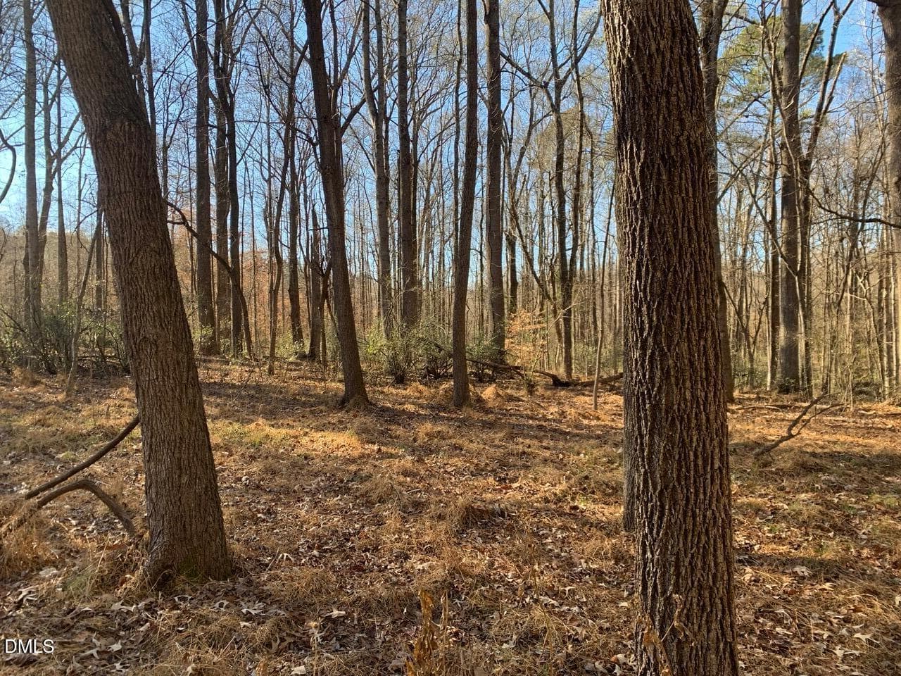 r chap int lot4 - 0 Rives Chapel Church Road, Siler City, NC 27344