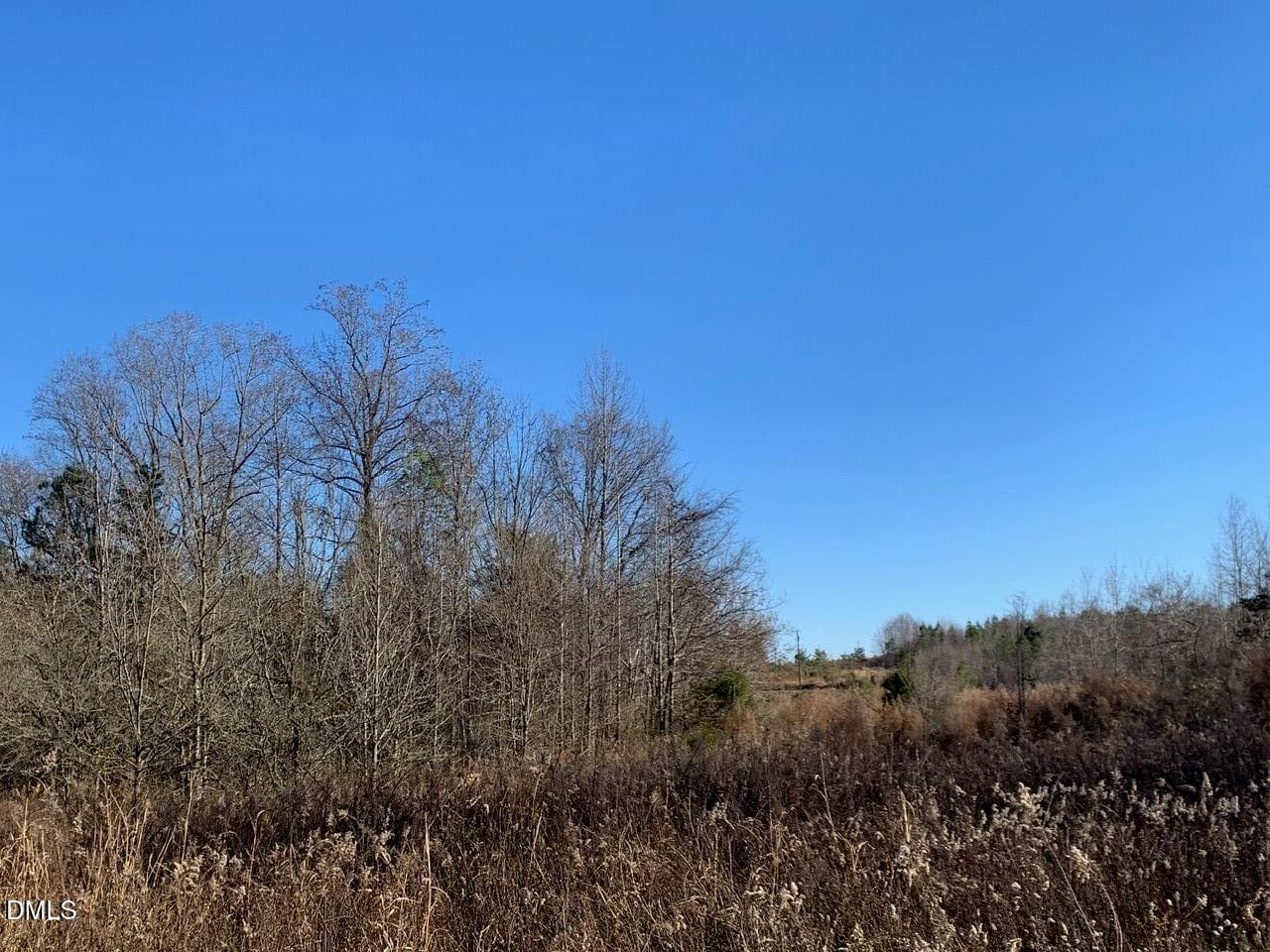r chap int lot7 - 0 Rives Chapel Church Road, Siler City, NC 27344