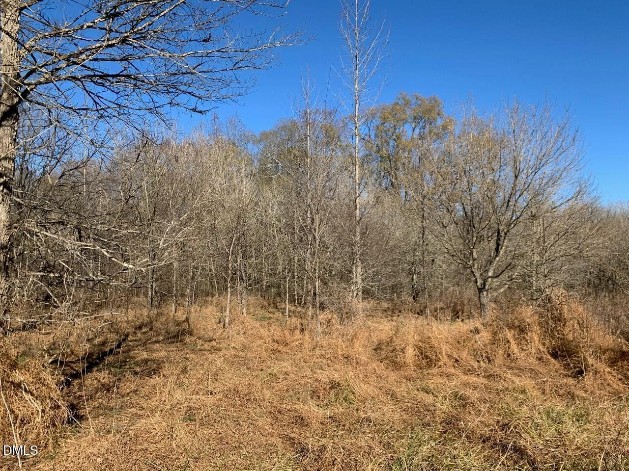 r chap int lot8 - 0 Rives Chapel Church Road, Siler City, NC 27344