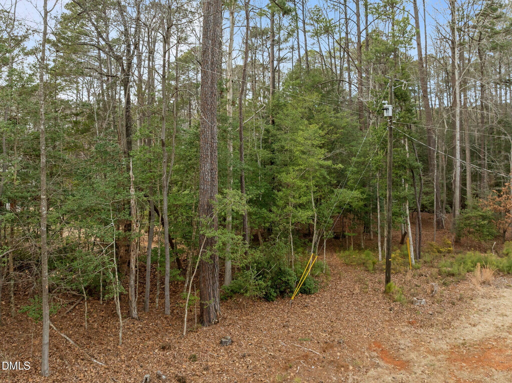 11-web-or-mls-DJI_0999 - 127 Nakoma Drive, Louisburg, NC 27549, Louisburg