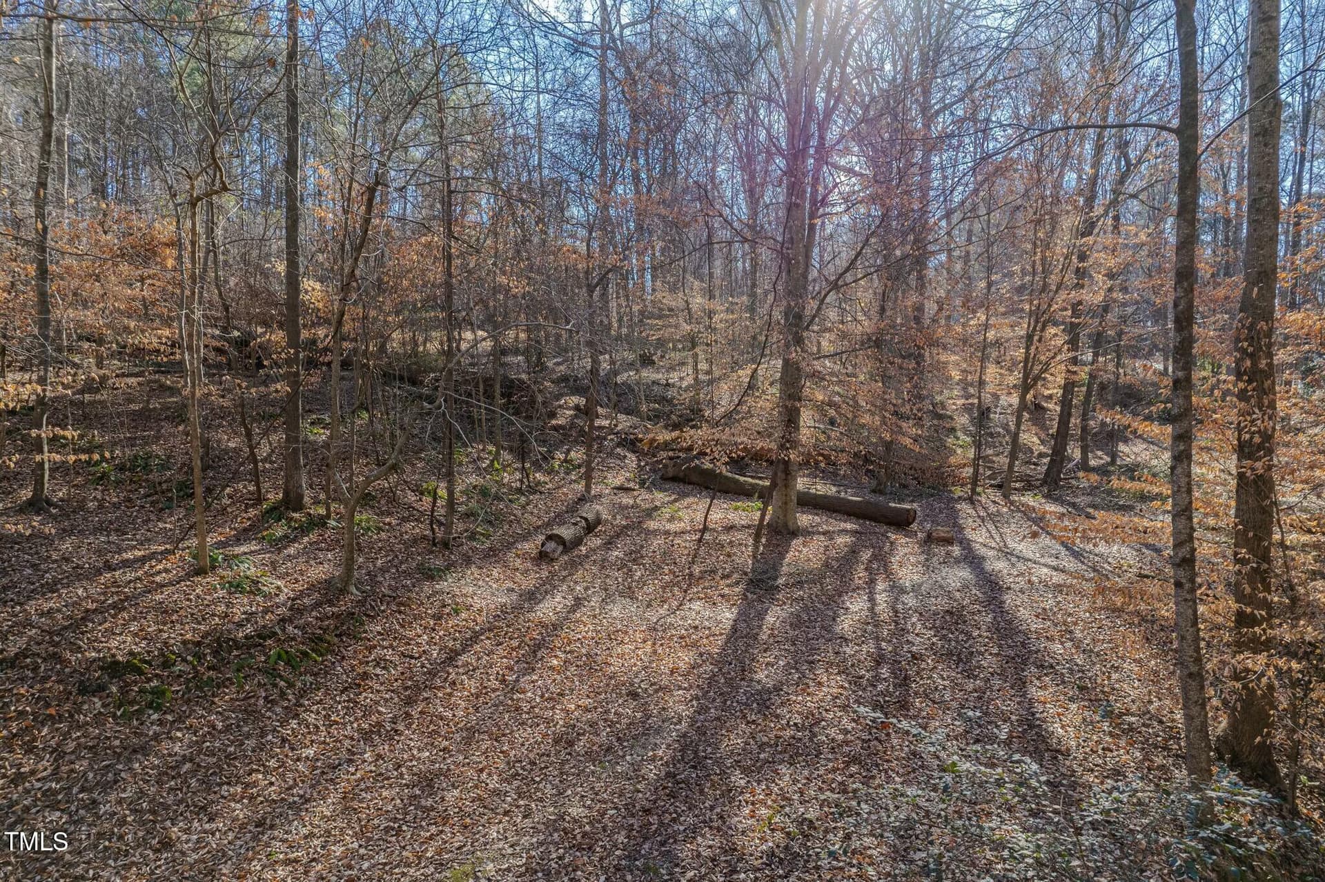 tempImageJjf7vq - 0 Washington Street, Clayton, NC 27520