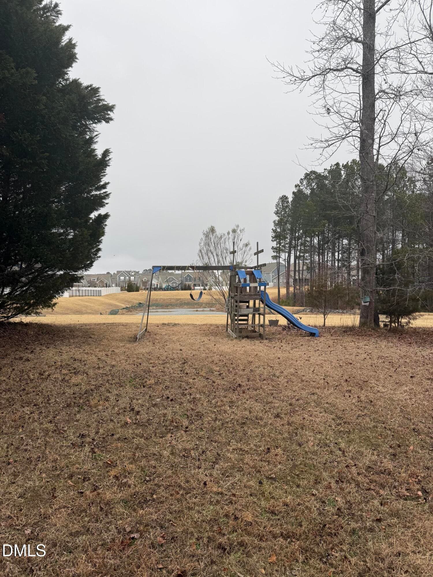 IMG_3493 - 412 Star Ruby Drive, Knightdale, NC 27545