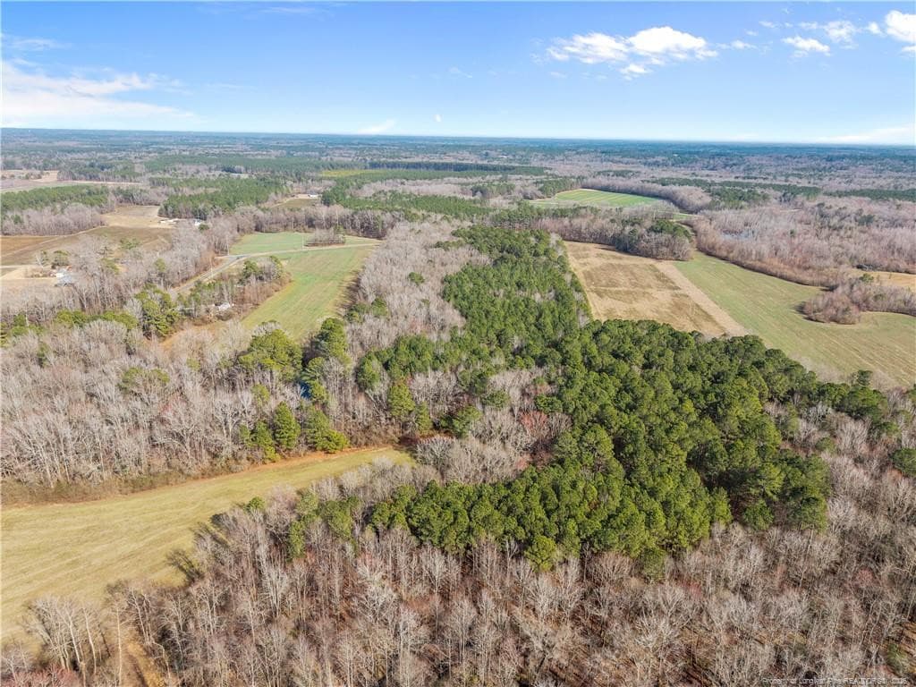 Photo 4 - 1896 & 0 Clark Road, Lillington, NC 27546