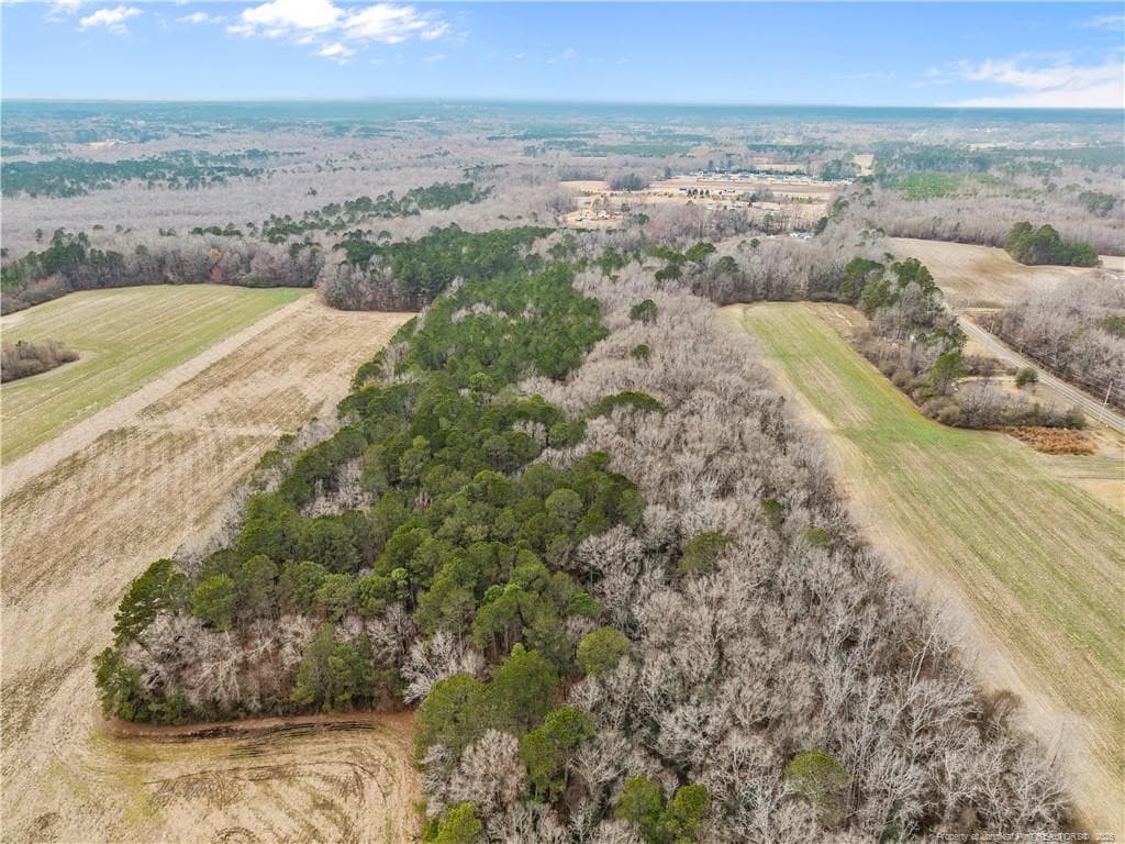 Photo 7 - 1896 & 0 Clark Road, Lillington, NC 27546