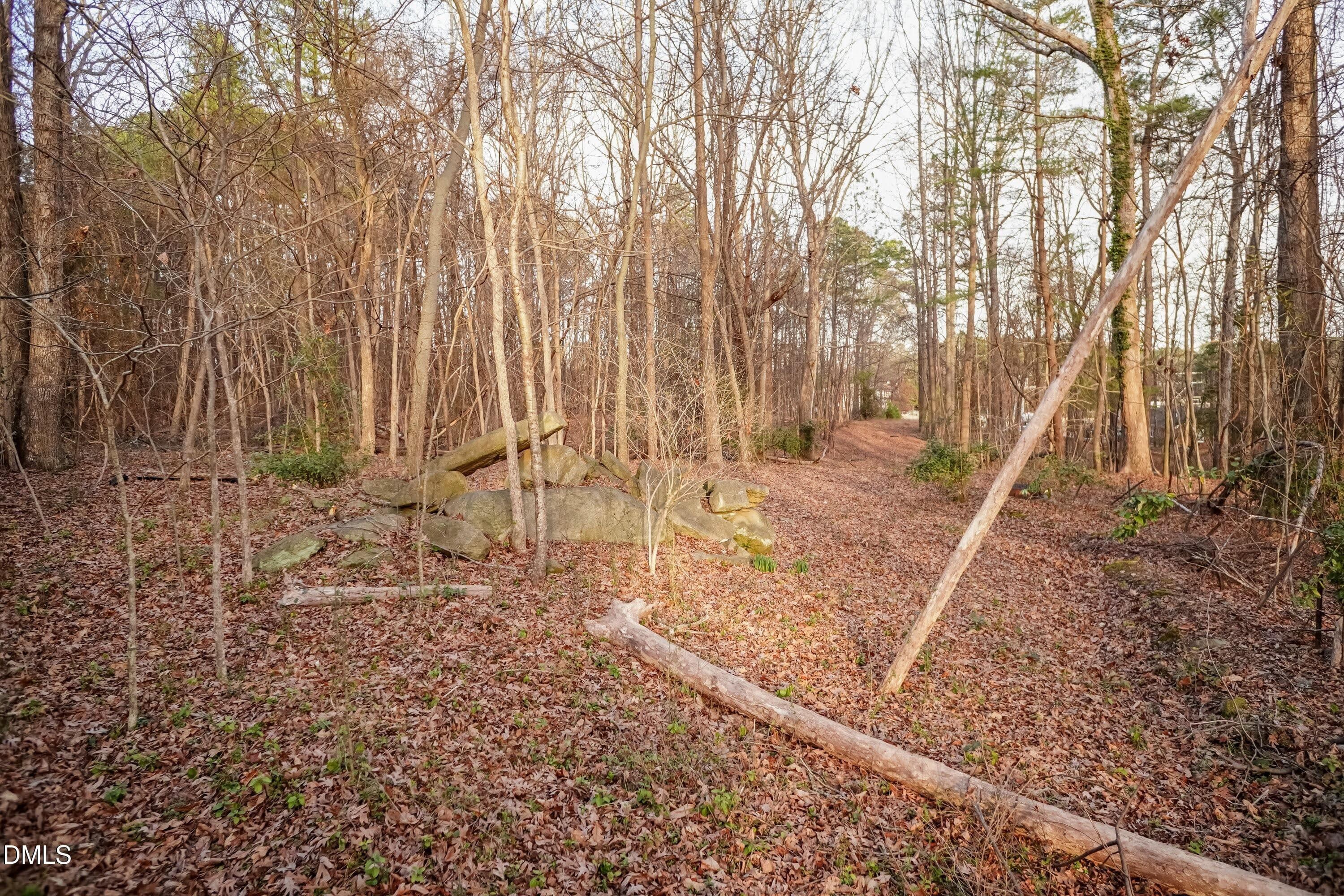Path 01 - 3600 Top Of The Pines Court, Raleigh, NC 27604, Raleigh