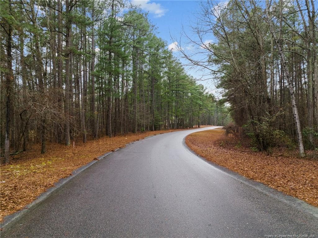 Photo 1 - 221 Pebble Drive, West End, NC 27376