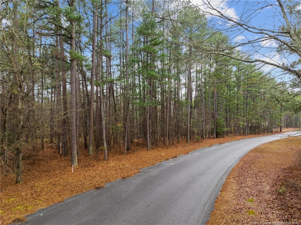 Photo 2 - 221 Pebble Drive, West End, NC 27376