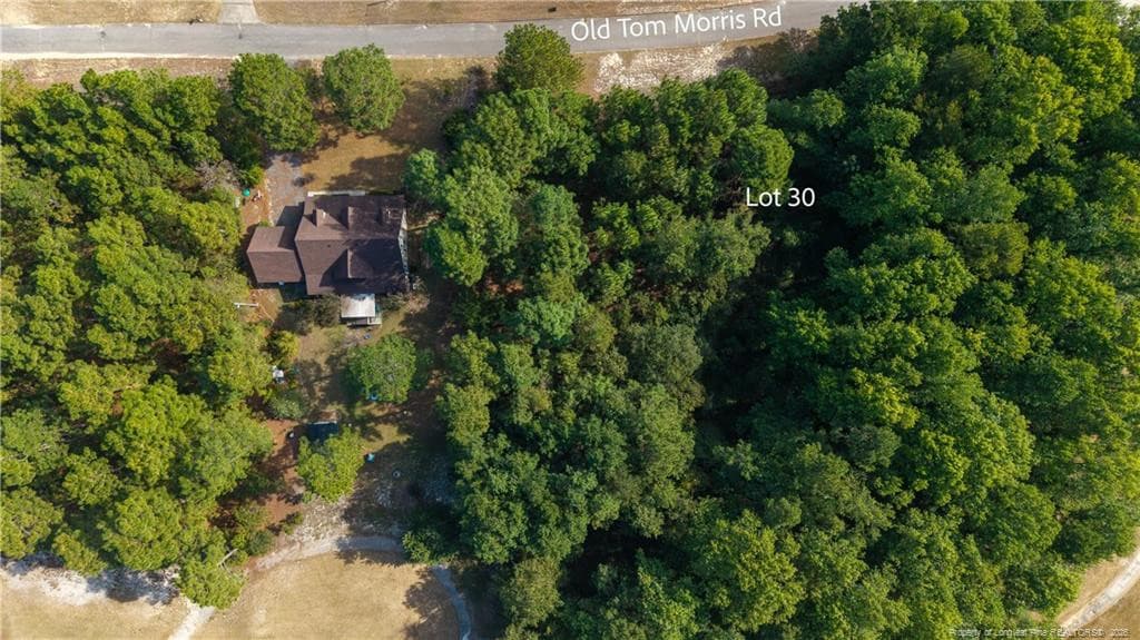 Photo 3 - Old Tom Morris Road, Garland, NC 28441