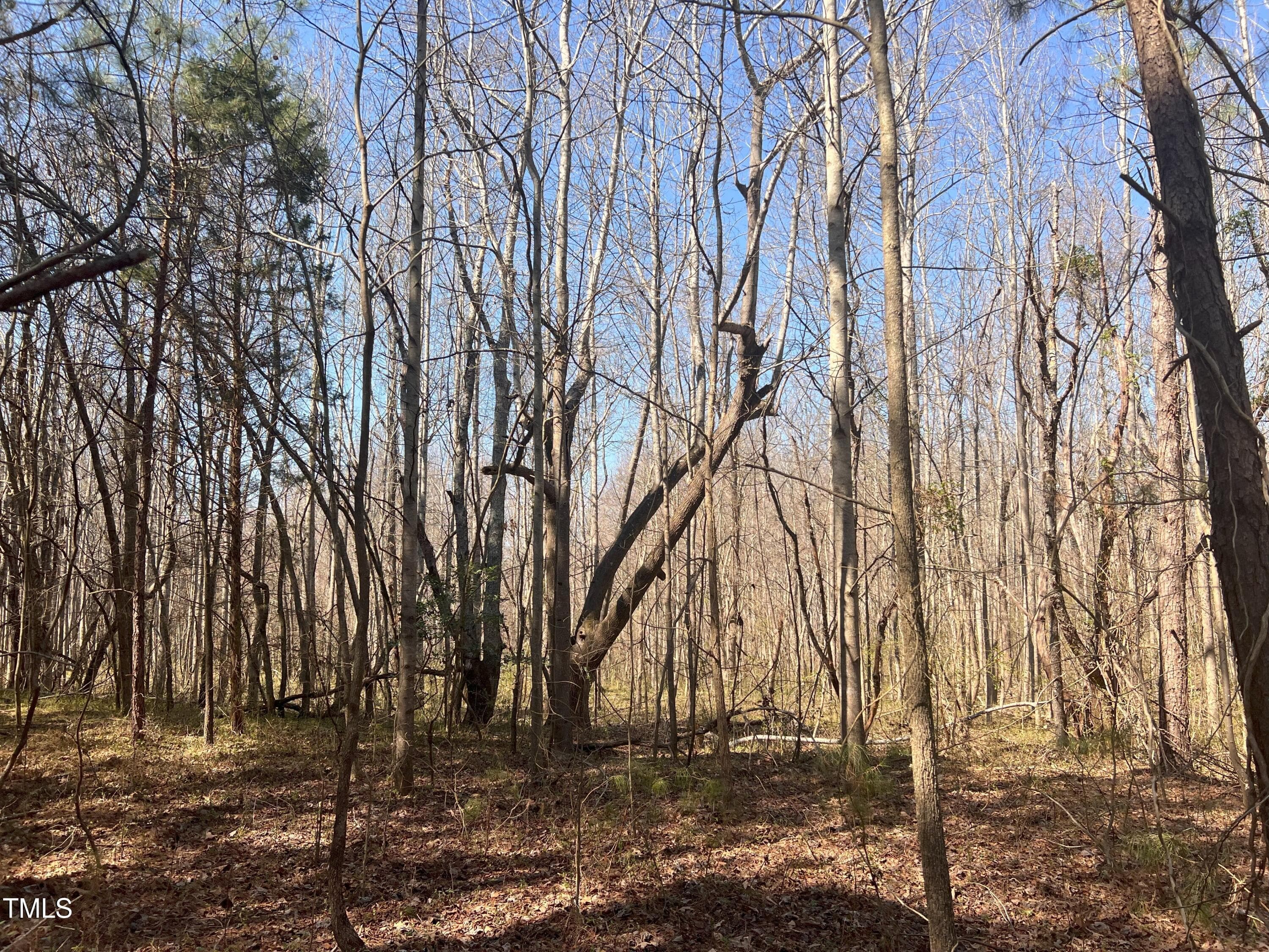 IMG_1089 - Lot 6 Fishing Creek Road, Enfield, NC 27823