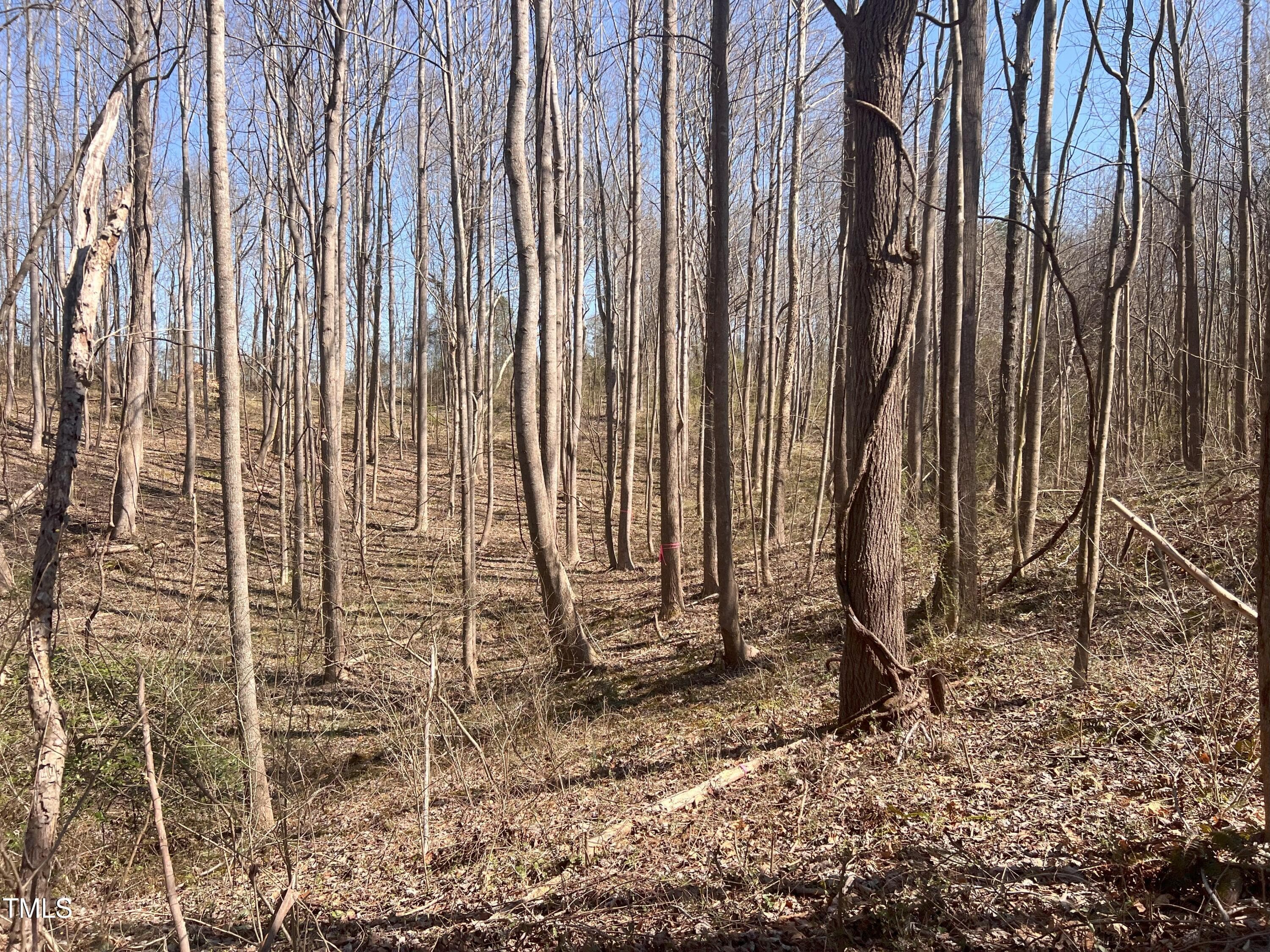 IMG_1088 - Lot 6 Fishing Creek Road, Enfield, NC 27823