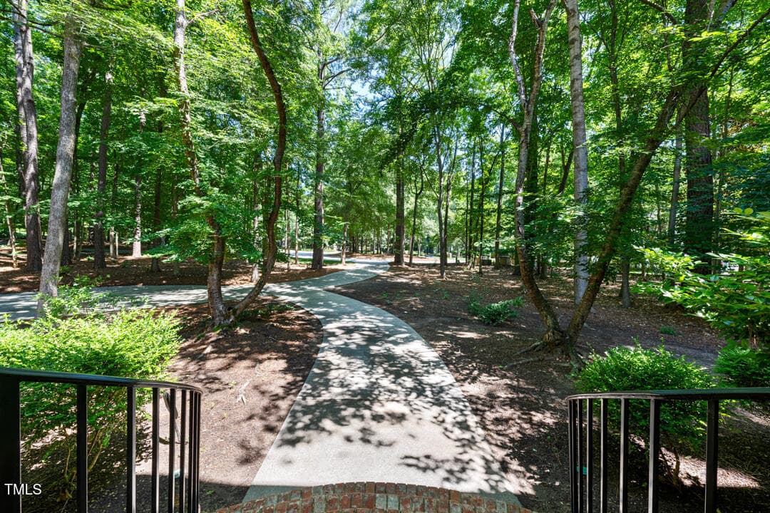 Front Walkway - 2602 Vintage Hill Court, Durham, NC 27712, Durham