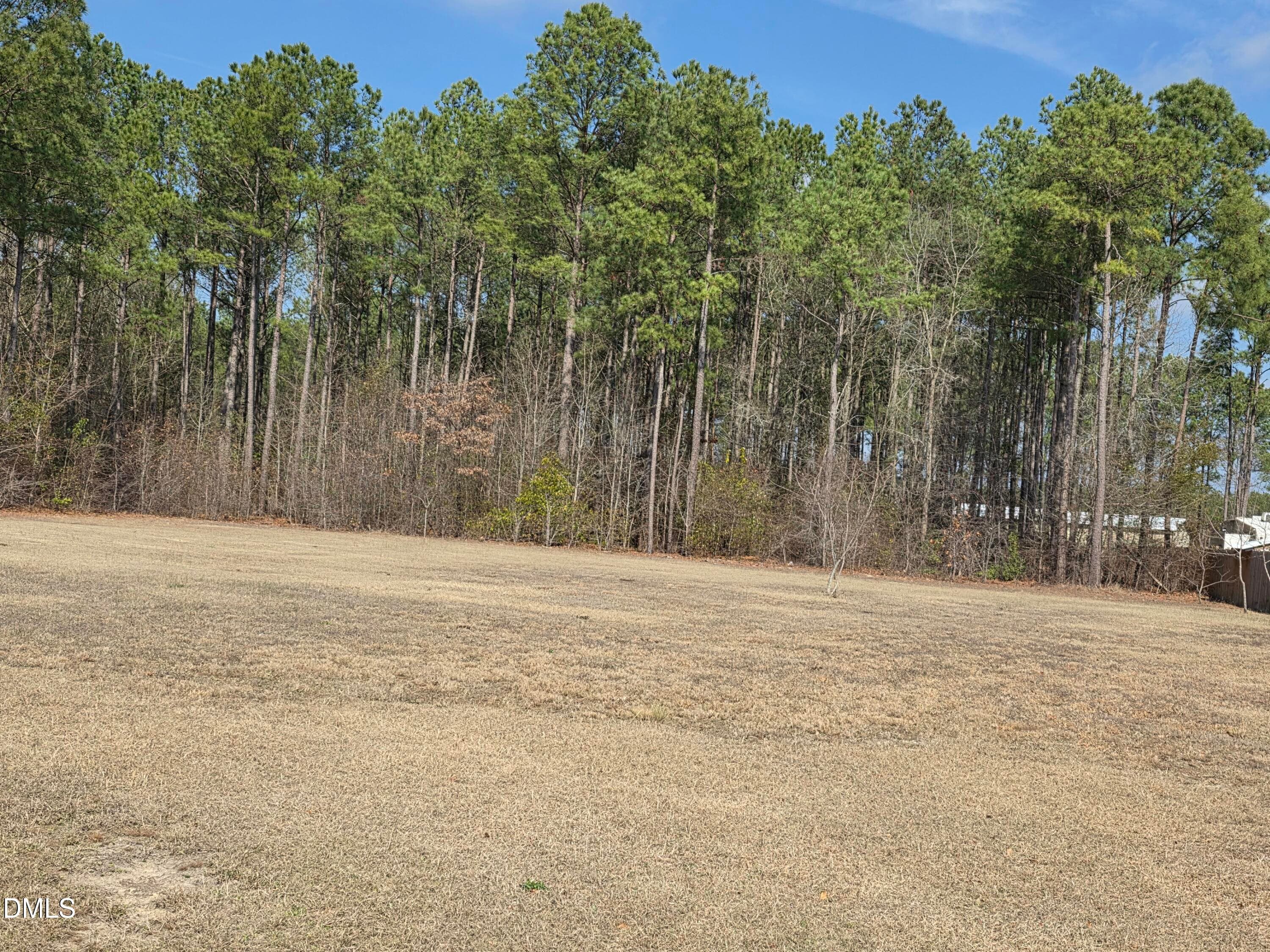 20260306_111820 - 290 Raynor Sands Drive, Dunn, NC 28334, Dunn