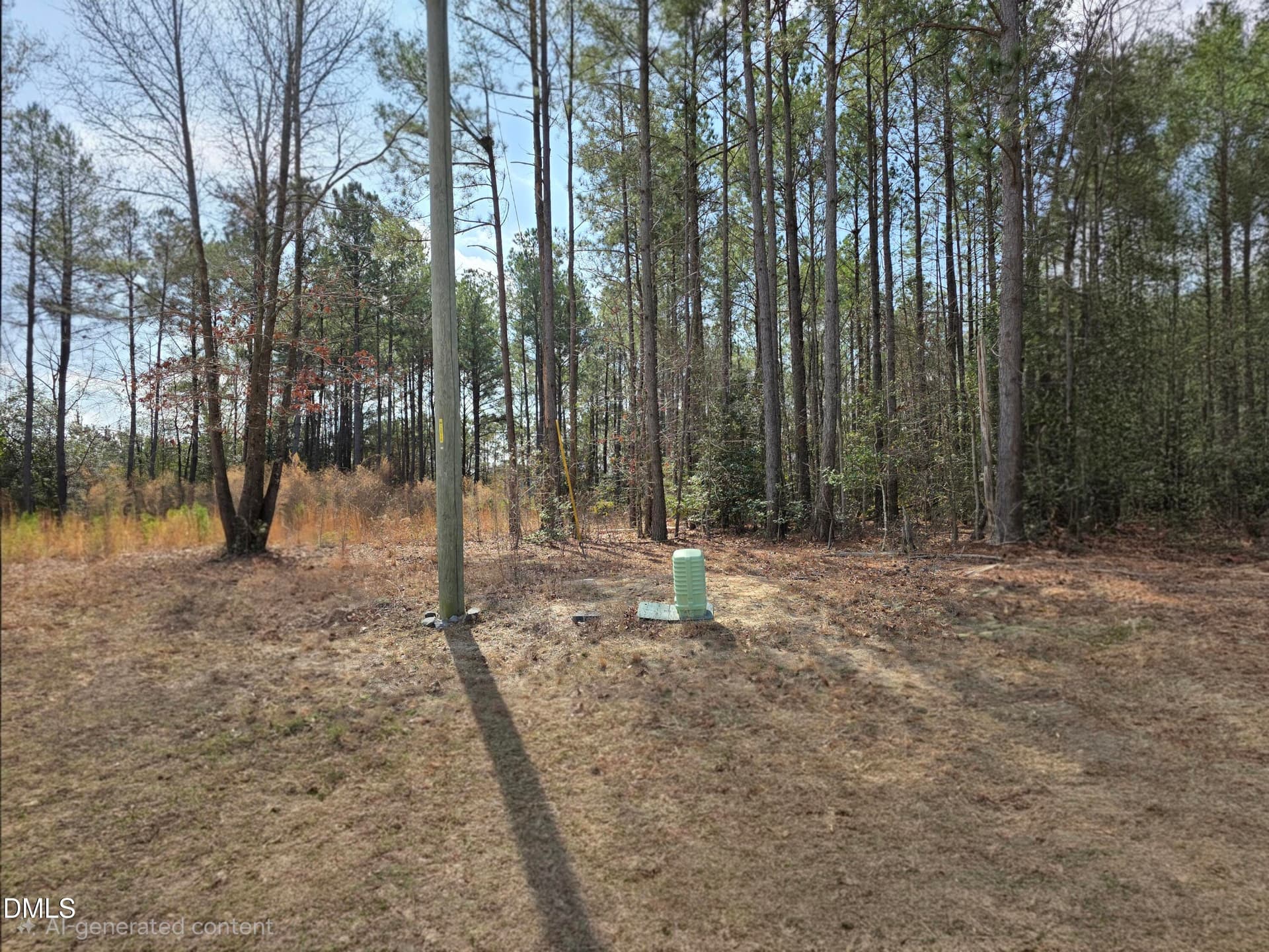 20260306_112015(1) - 275 Raynor Sands Drive, Dunn, NC 28334