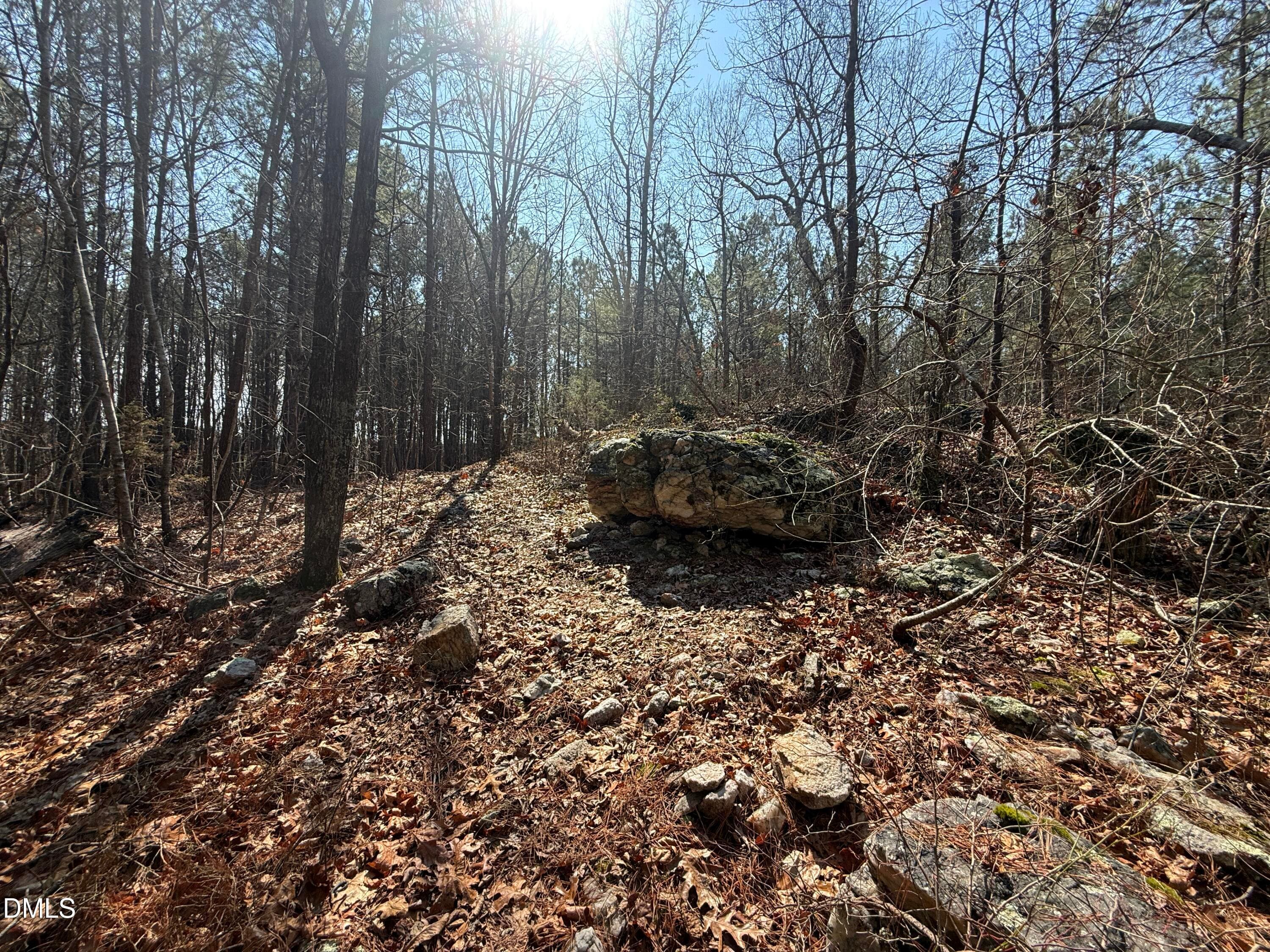 IMG_6643 - 1739 Moulton Road, Louisburg, NC 27549, Louisburg