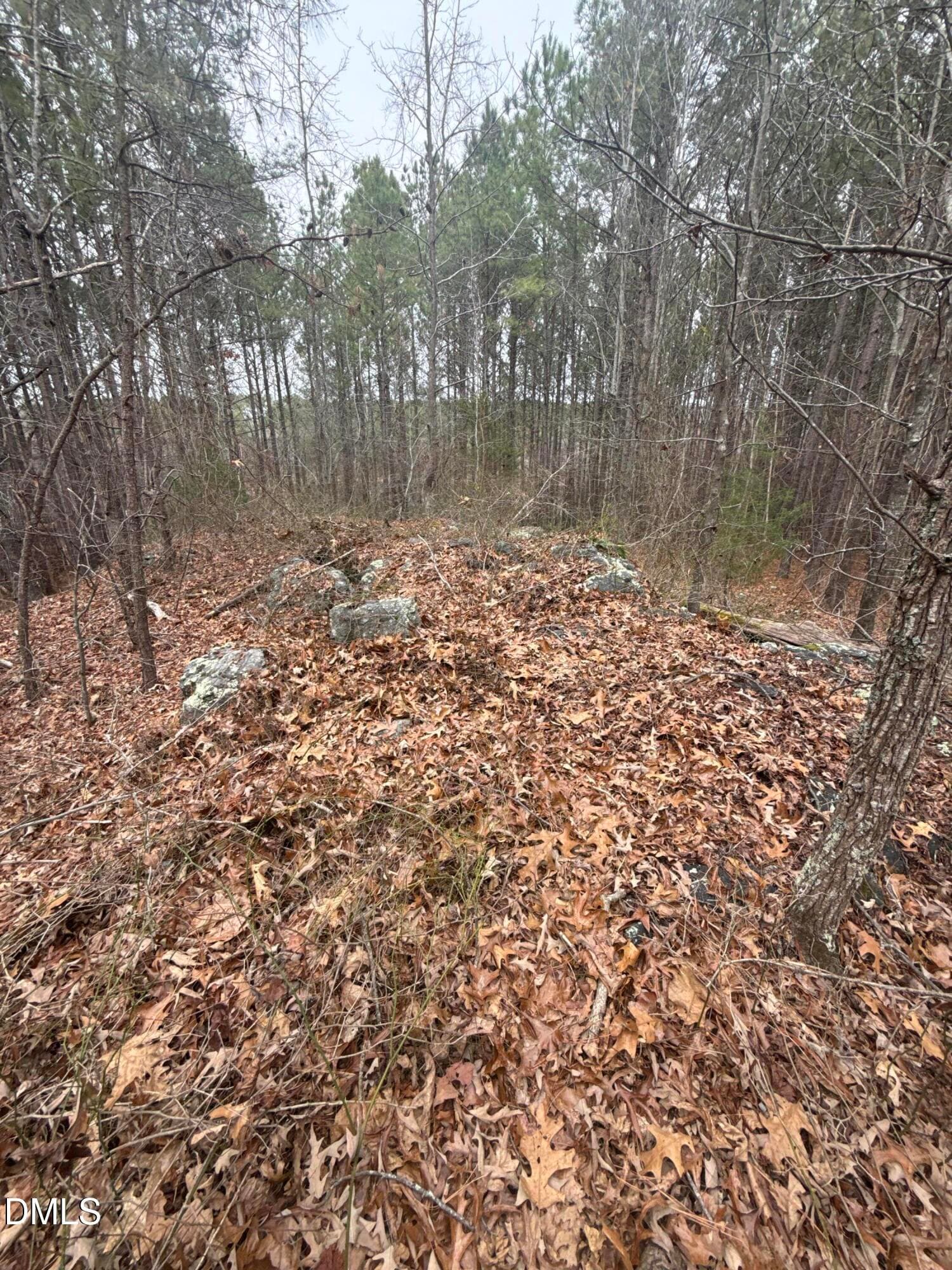DJI_20260303_131246_976 - 1739 Moulton Road, Louisburg, NC 27549, Louisburg