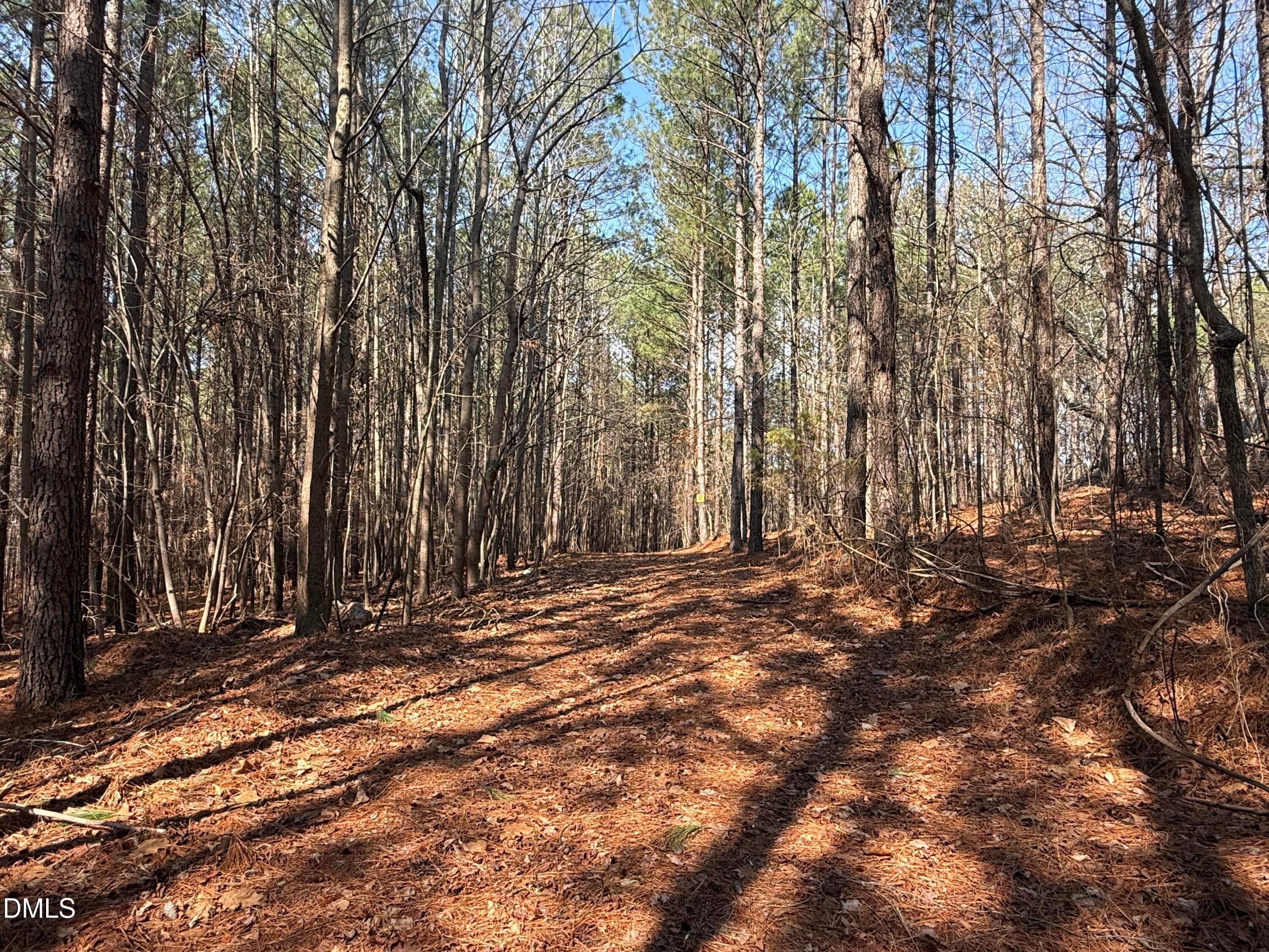 IMG_6635 - 1739 Moulton Road, Louisburg, NC 27549, Louisburg