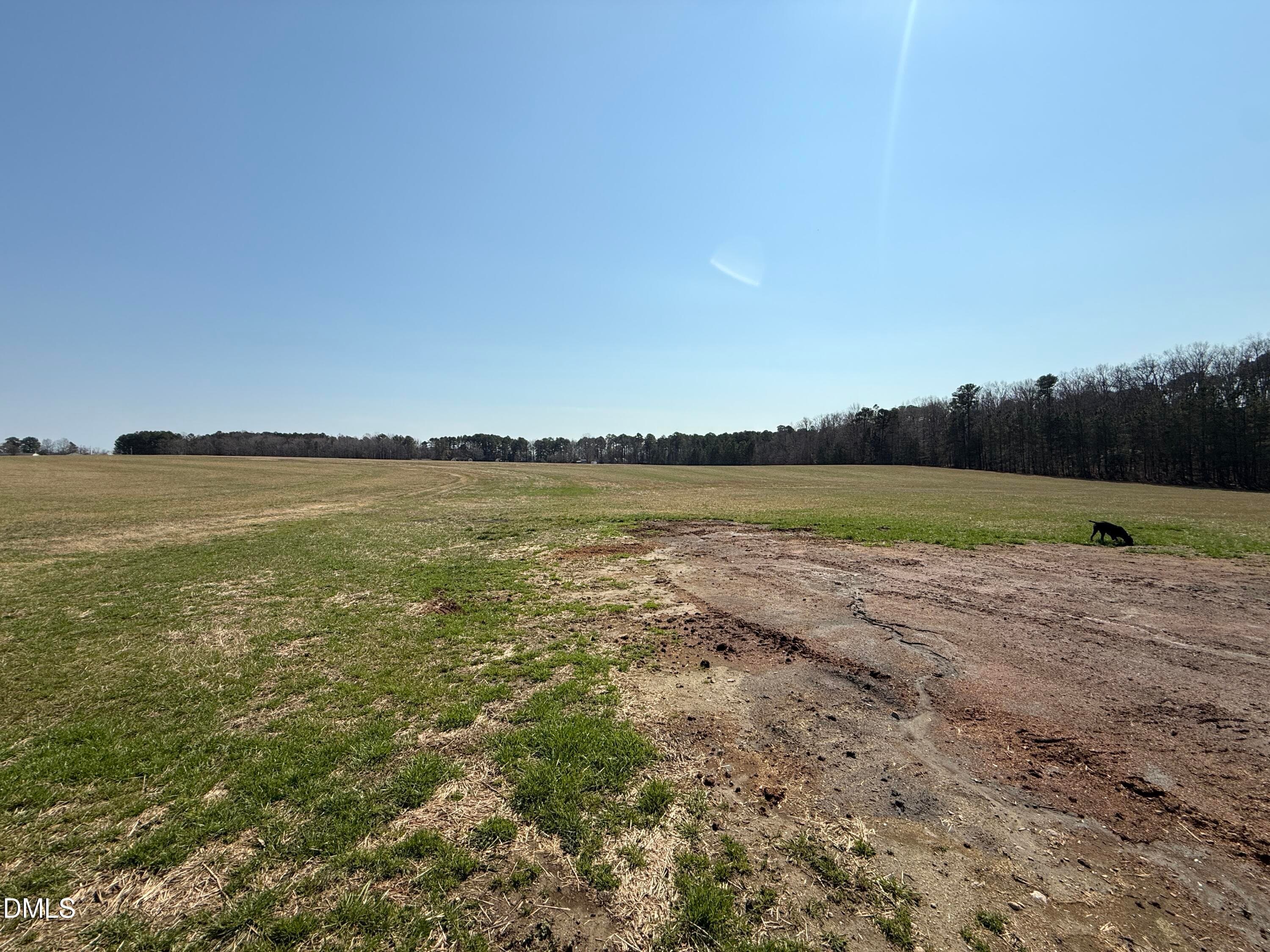IMG_6685 - 1739 Moulton Road, Louisburg, NC 27549, Louisburg