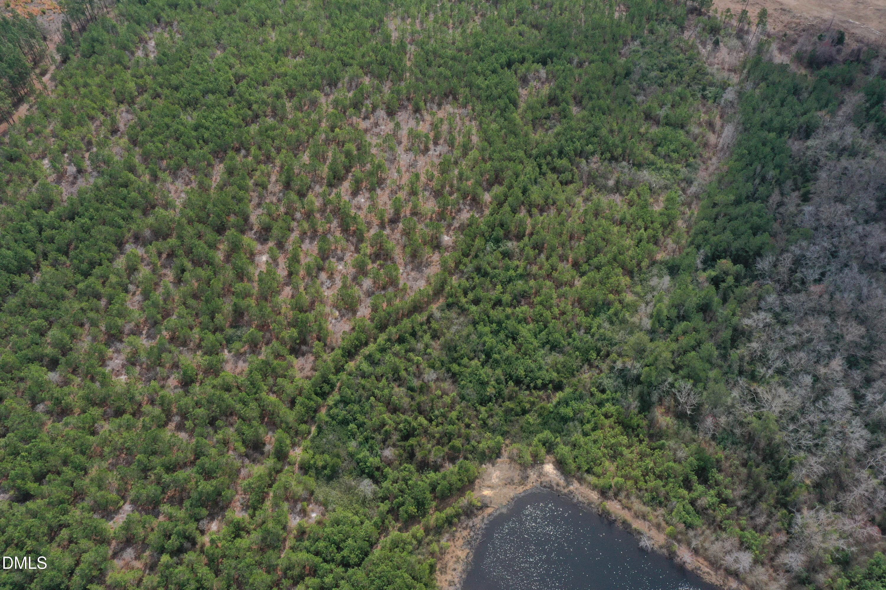 DJI_0181 - 0 Ramsey Street, Linden, NC 28356