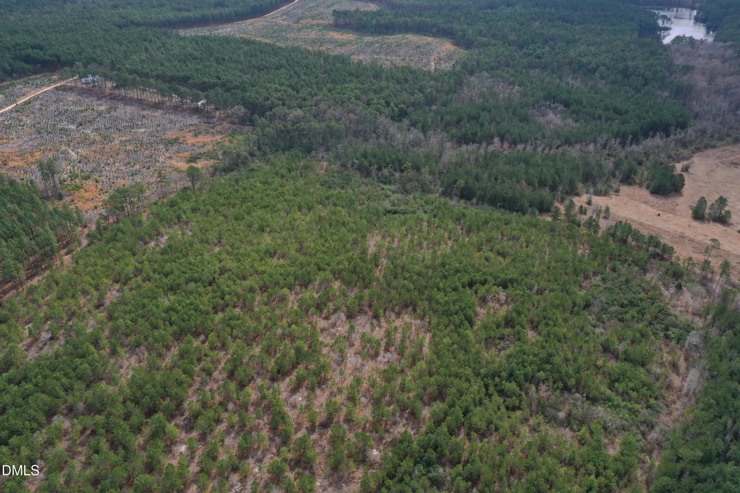 DJI_0174 - 0 Ramsey Street, Linden, NC 28356