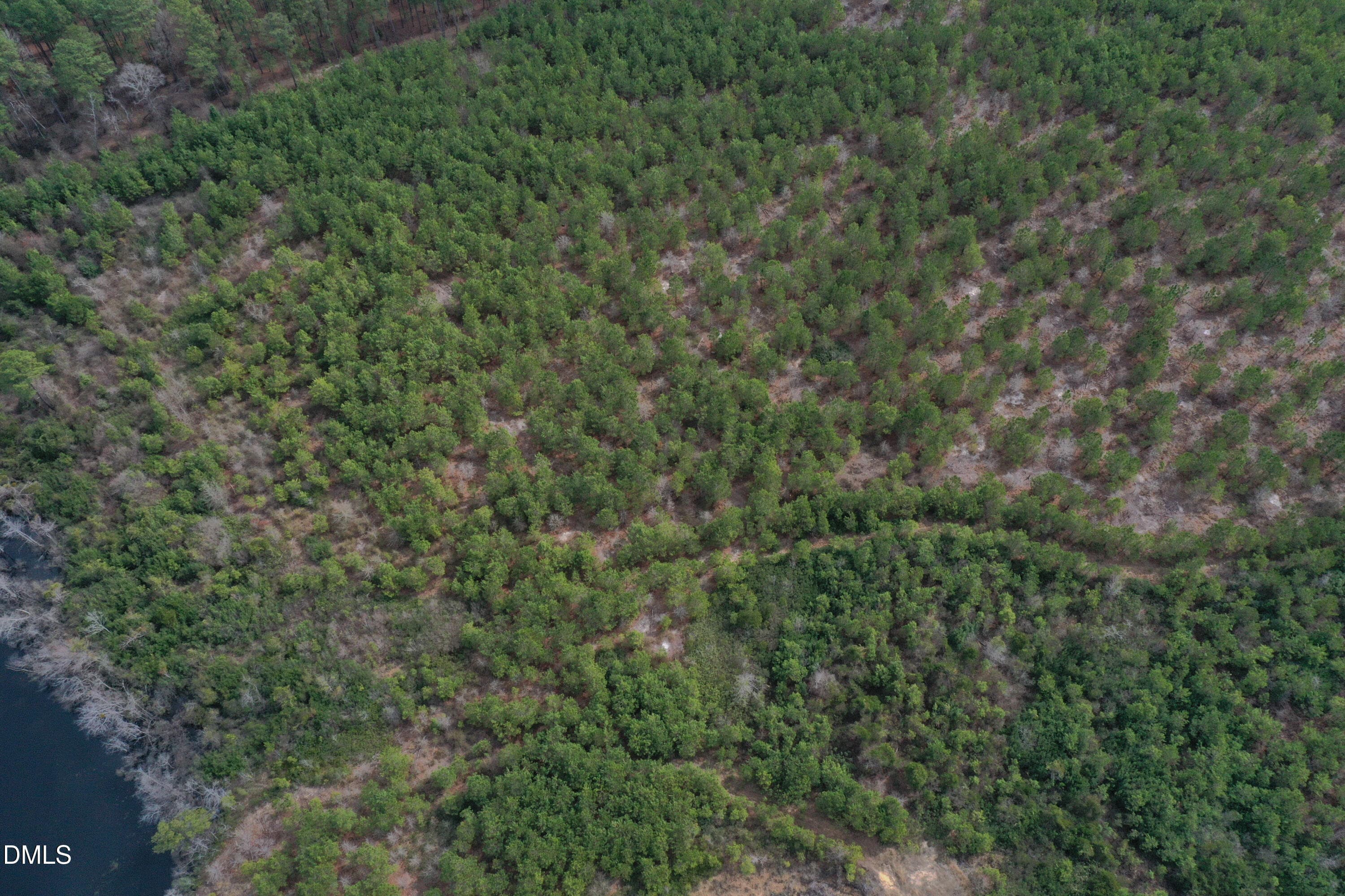 DJI_0173 - 0 Ramsey Street, Linden, NC 28356