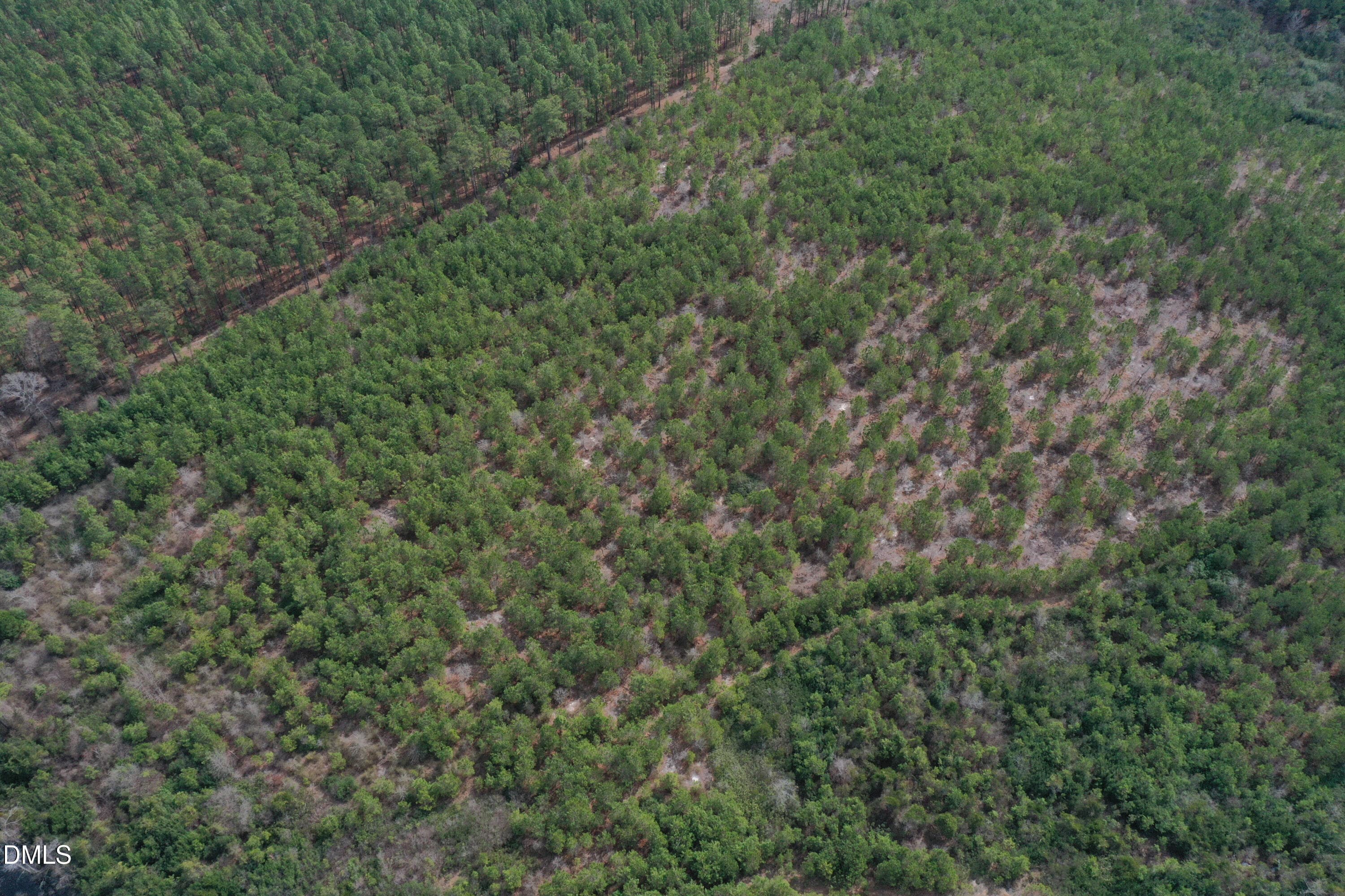 DJI_0180 - 0 Ramsey Street, Linden, NC 28356