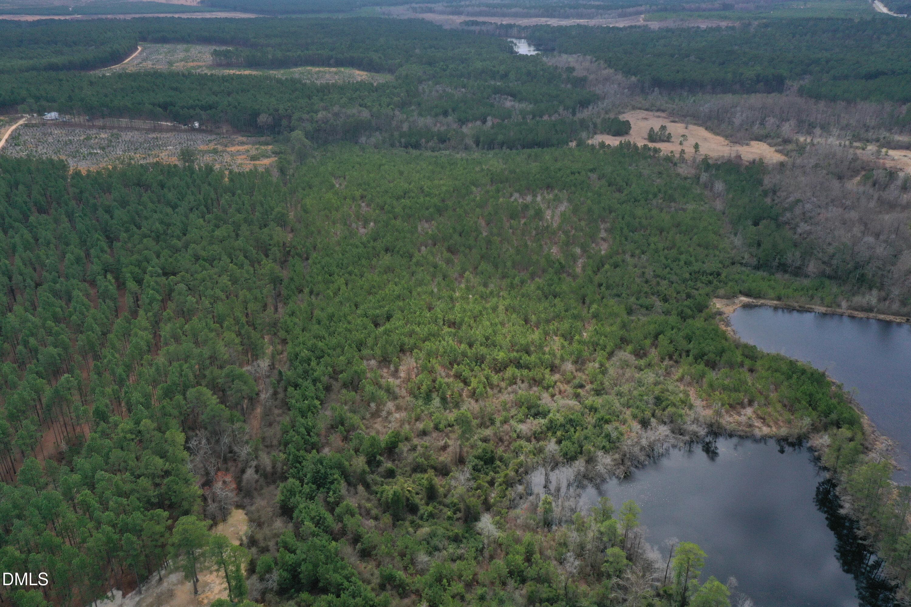 DJI_0158 - 0 Ramsey Street, Linden, NC 28356